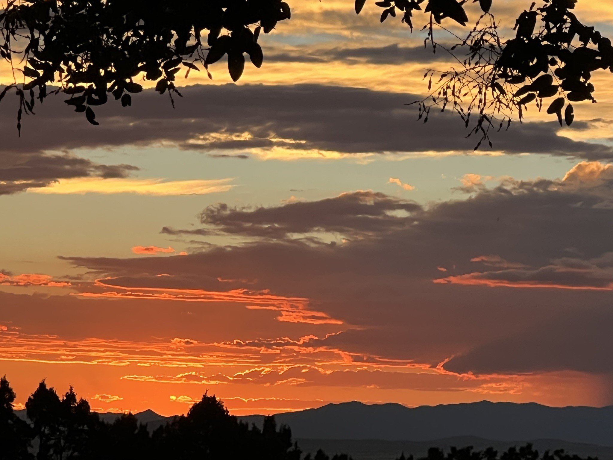  26 And 24 Sierra Del Sol - 物件實景