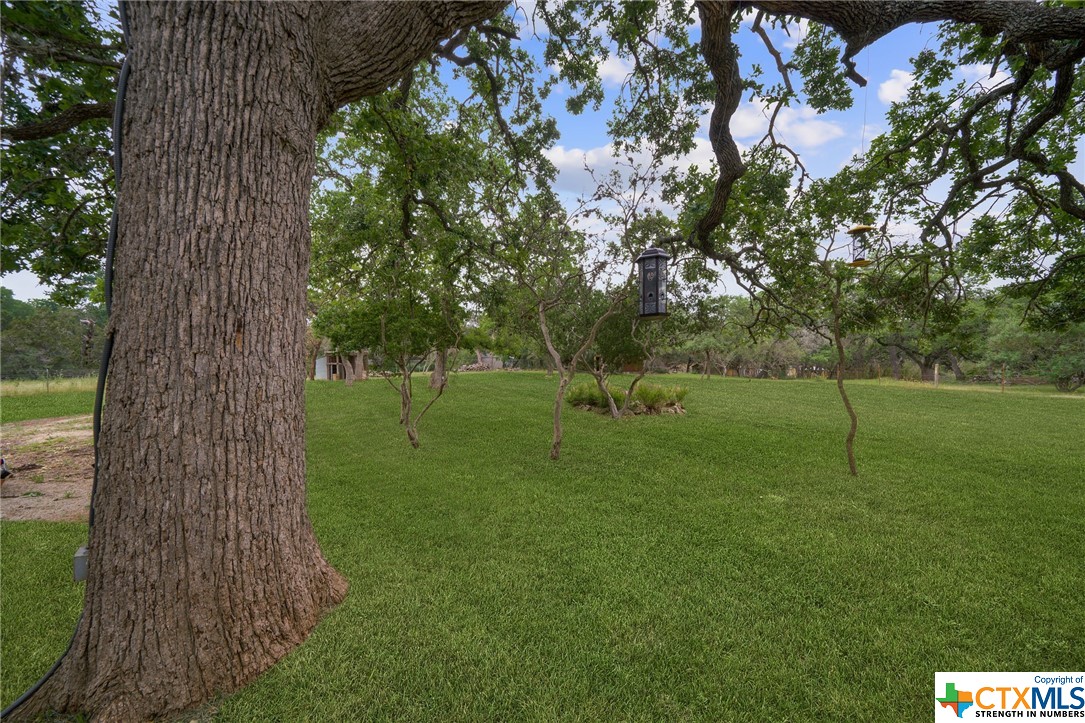 Bulverde, Texas, 78163, United States, 4 Bedrooms Bedrooms, ,3 BathroomsBathrooms,Residential,For Sale,1948845