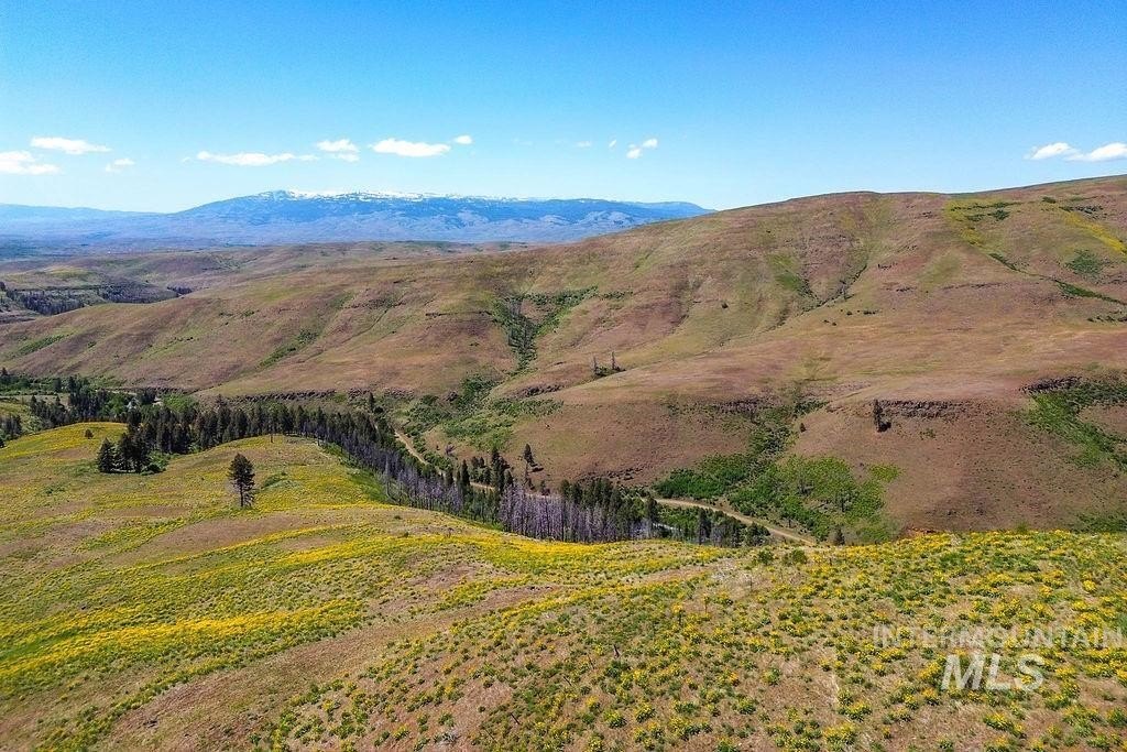 Council, Idaho, 83612, United States, ,Residential,For Sale,1862004