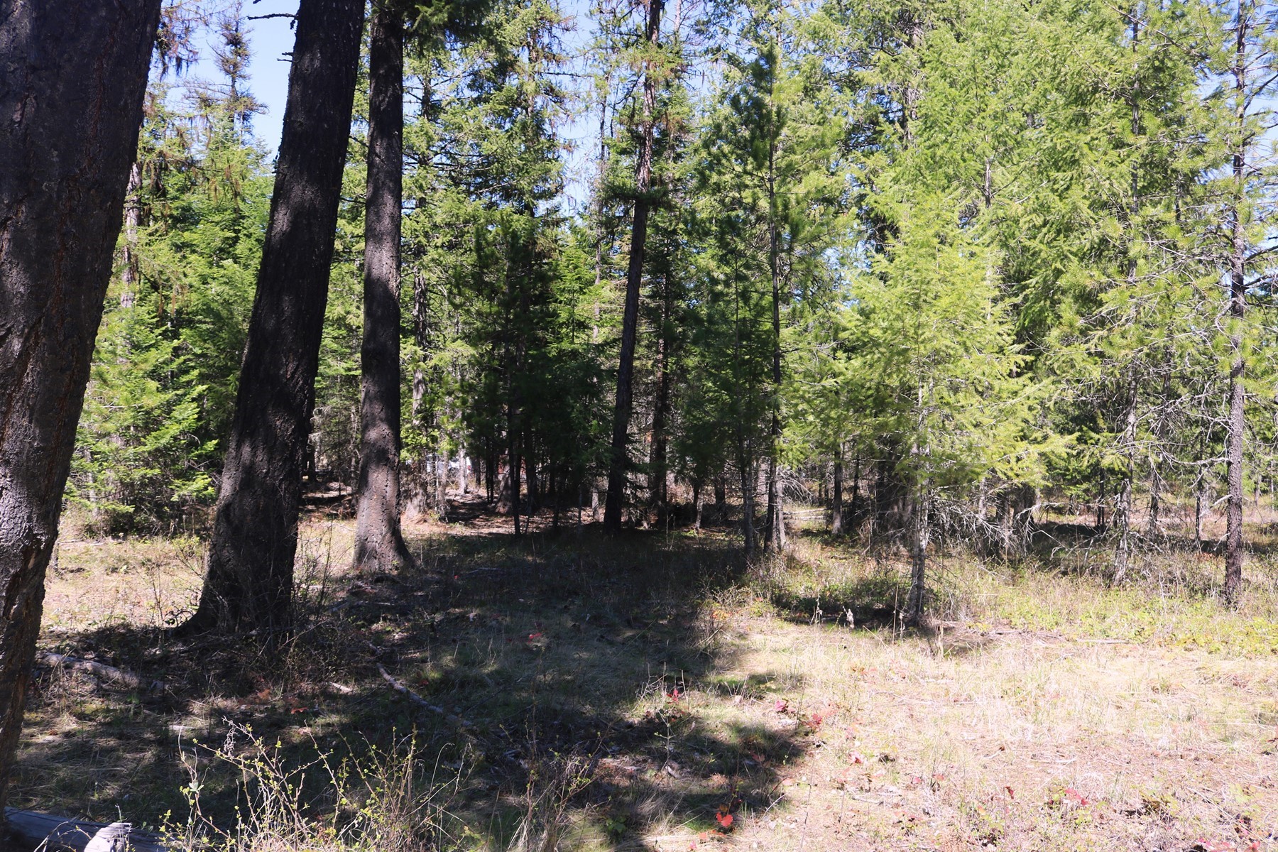  Community Waterfront Parcel - 物件實景