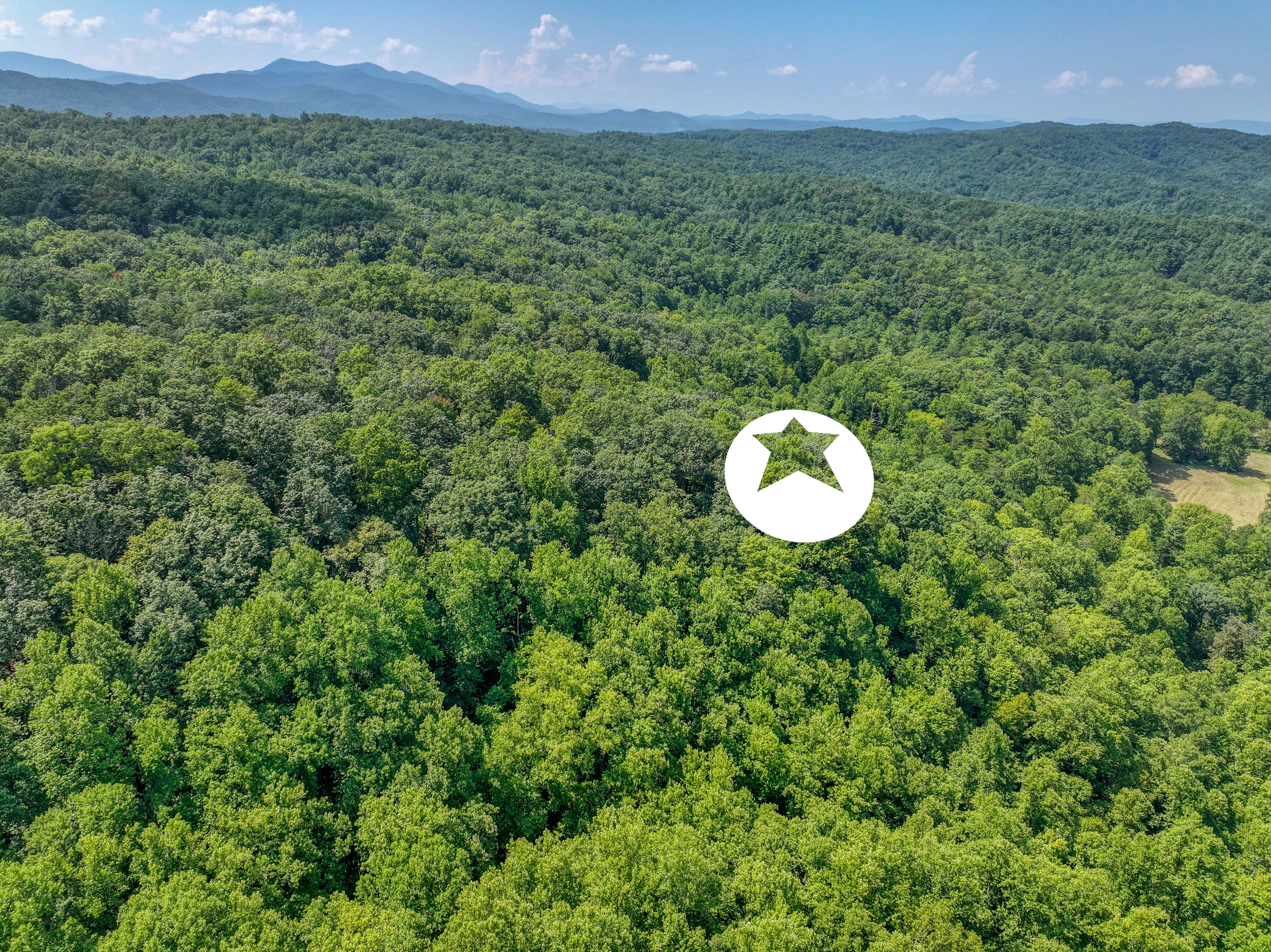  Belcher Loop, Tellico Plains, TN 37385 - 物件實景