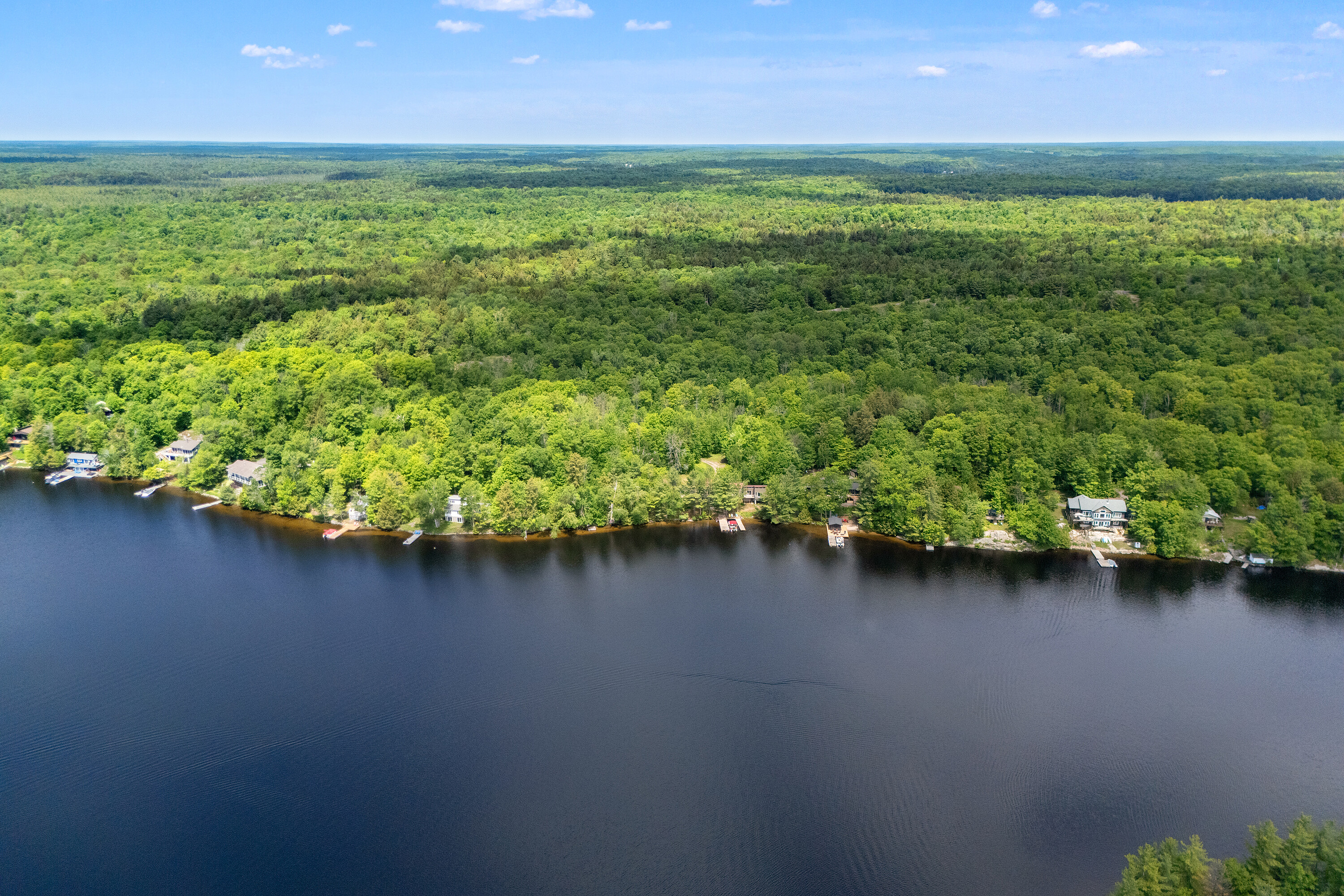  Spacious Healey Lake Cottage - 物件實景