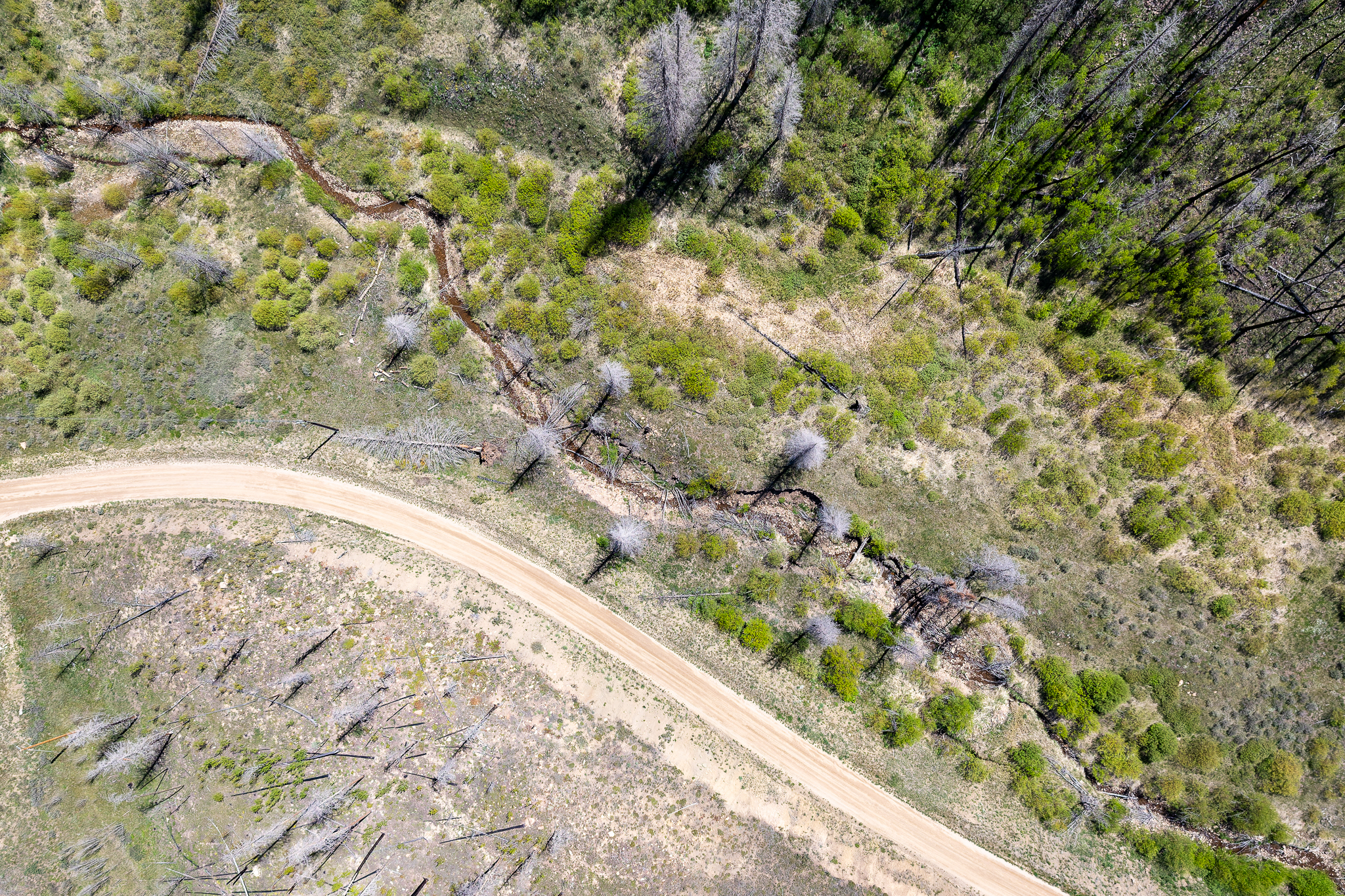  811 Gcr 408w, Granby, CO, 80446 - 物件實景