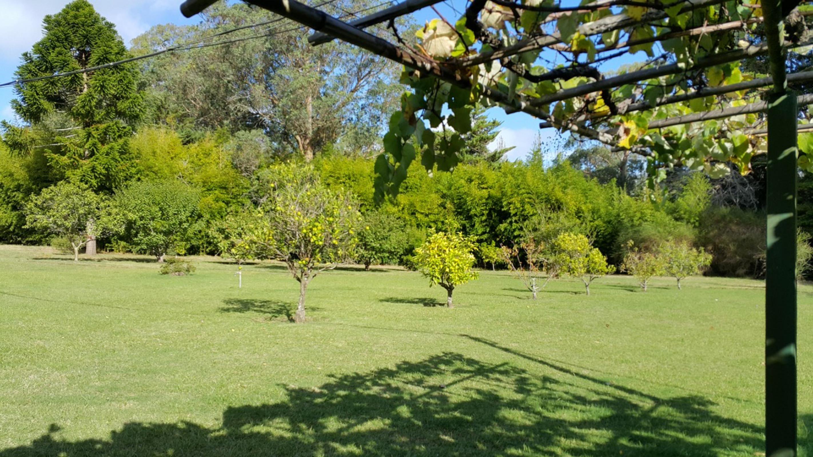  4,4 ha farm in Laguna del Sauce - 物件實景