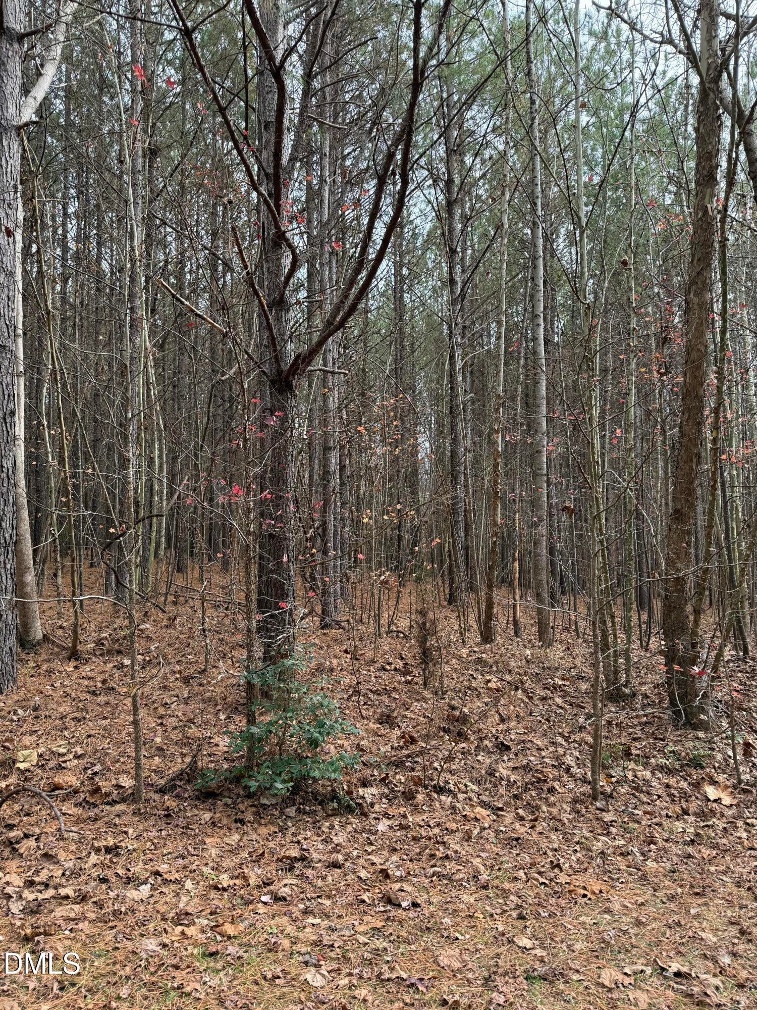 Oxford, North Carolina, 27565, United States, ,Land,For Sale,2000467