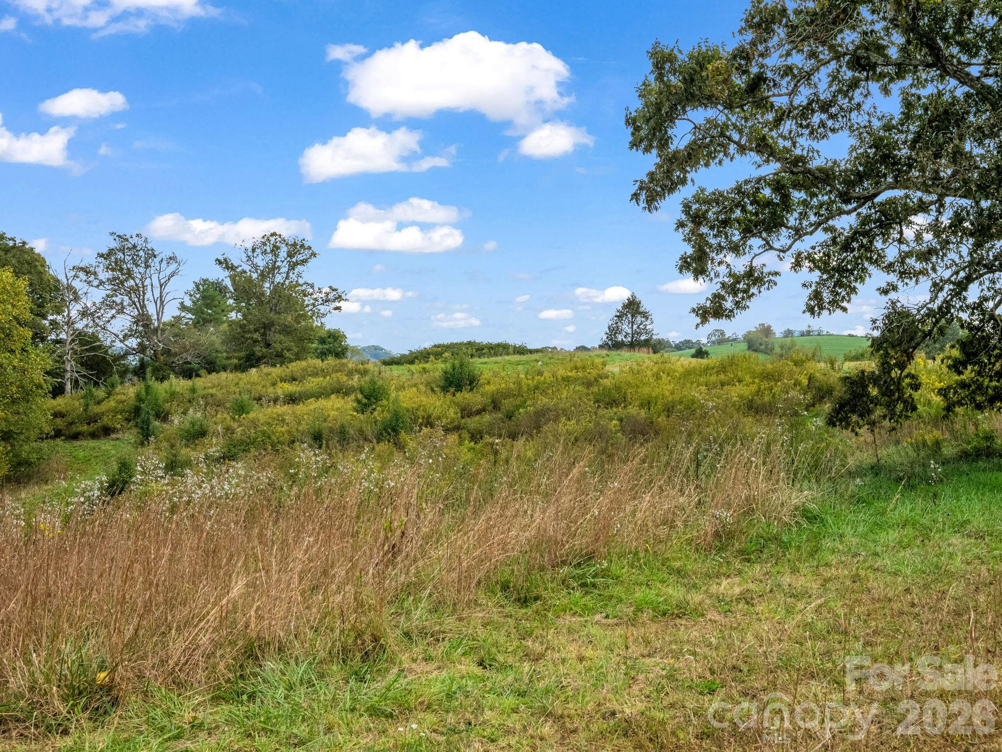 Mills River, North Carolina, 28759, United States, ,Land,For Sale,1975215
