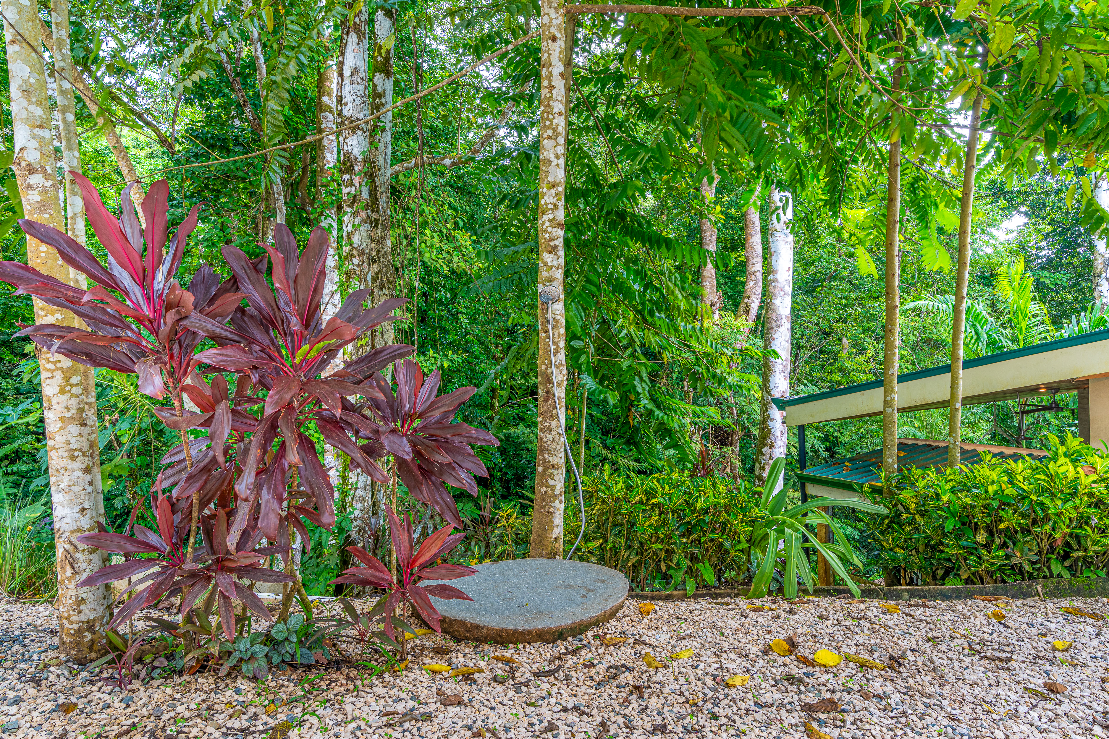 Dominical, Puntarenas, 60504, CR, 7 Bedrooms Bedrooms, ,7 BathroomsBathrooms,Residential,For Sale,1997378