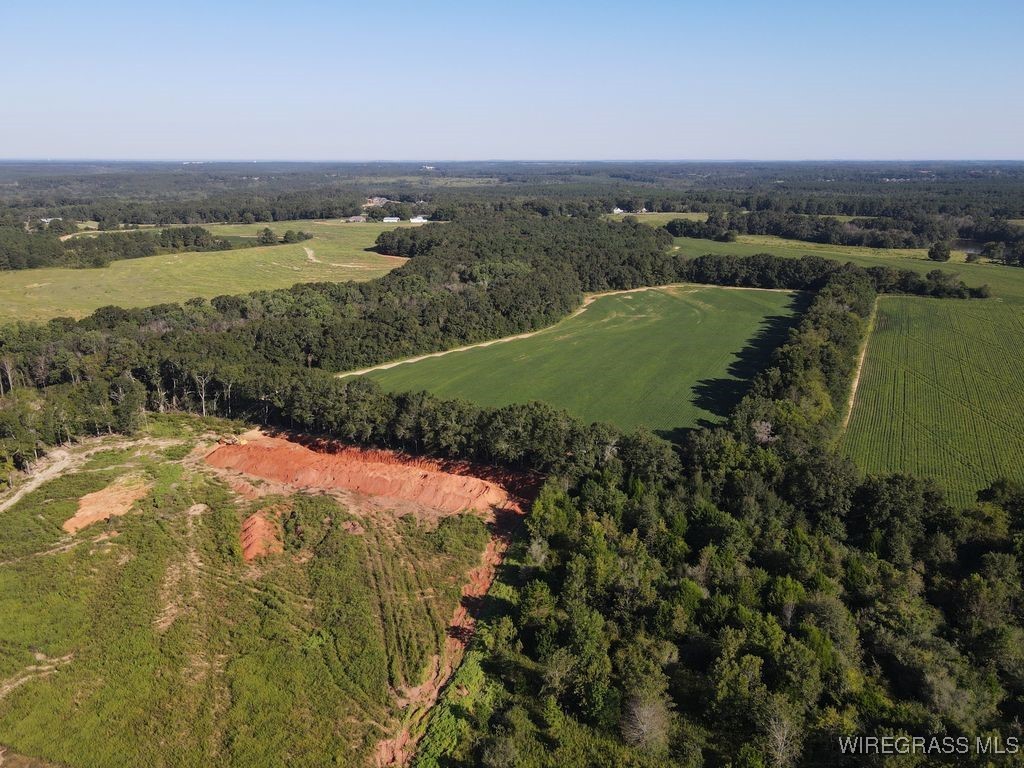 Enterprise, Alabama, 36330, United States, ,Land,For Sale,1979580