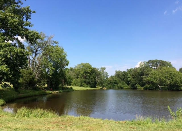 Reidsville, North Carolina, 27320, United States, ,Residential,For Sale,1823569