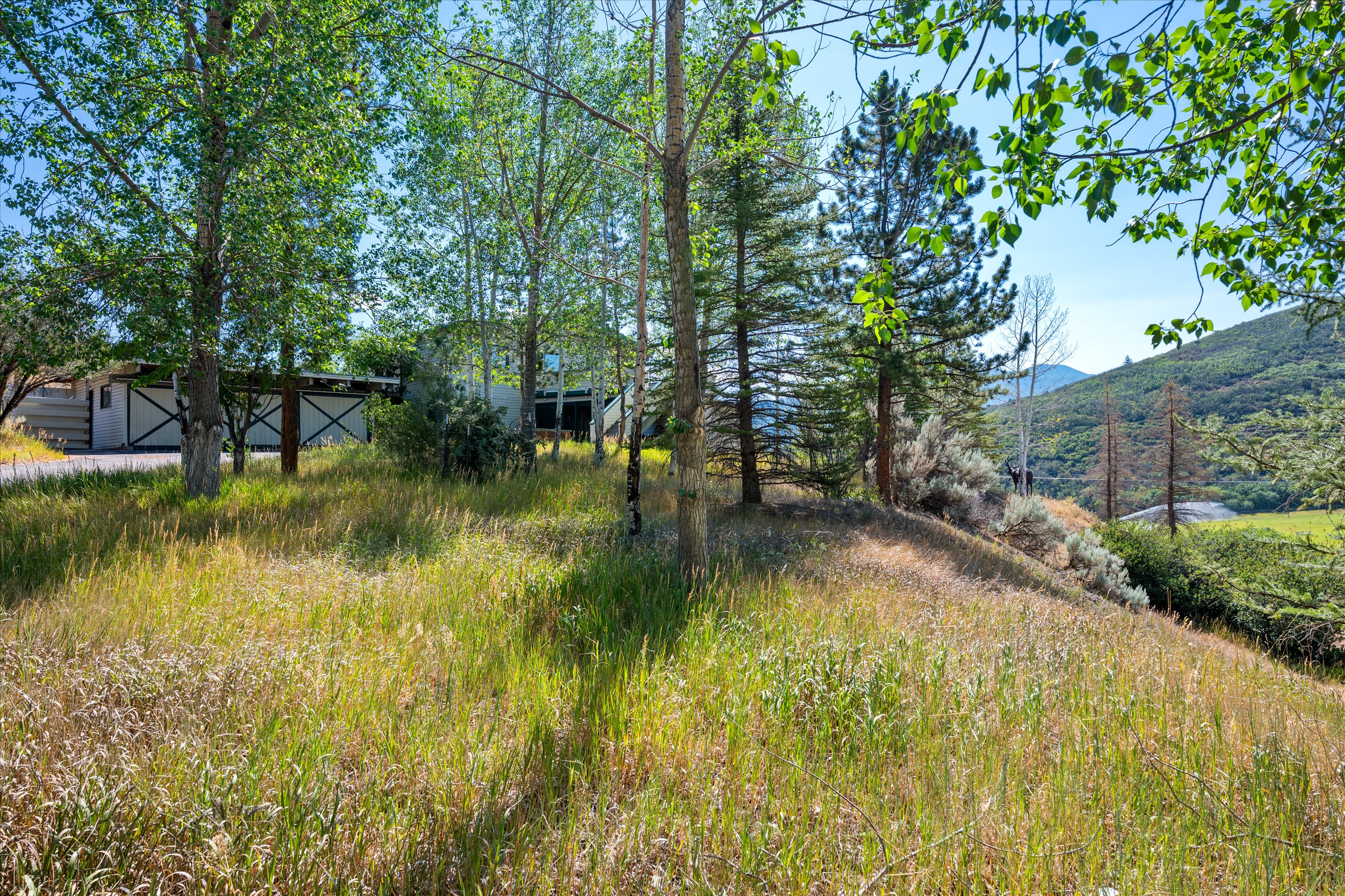  Two Private Acres in Brush Creek Village - 物件實景
