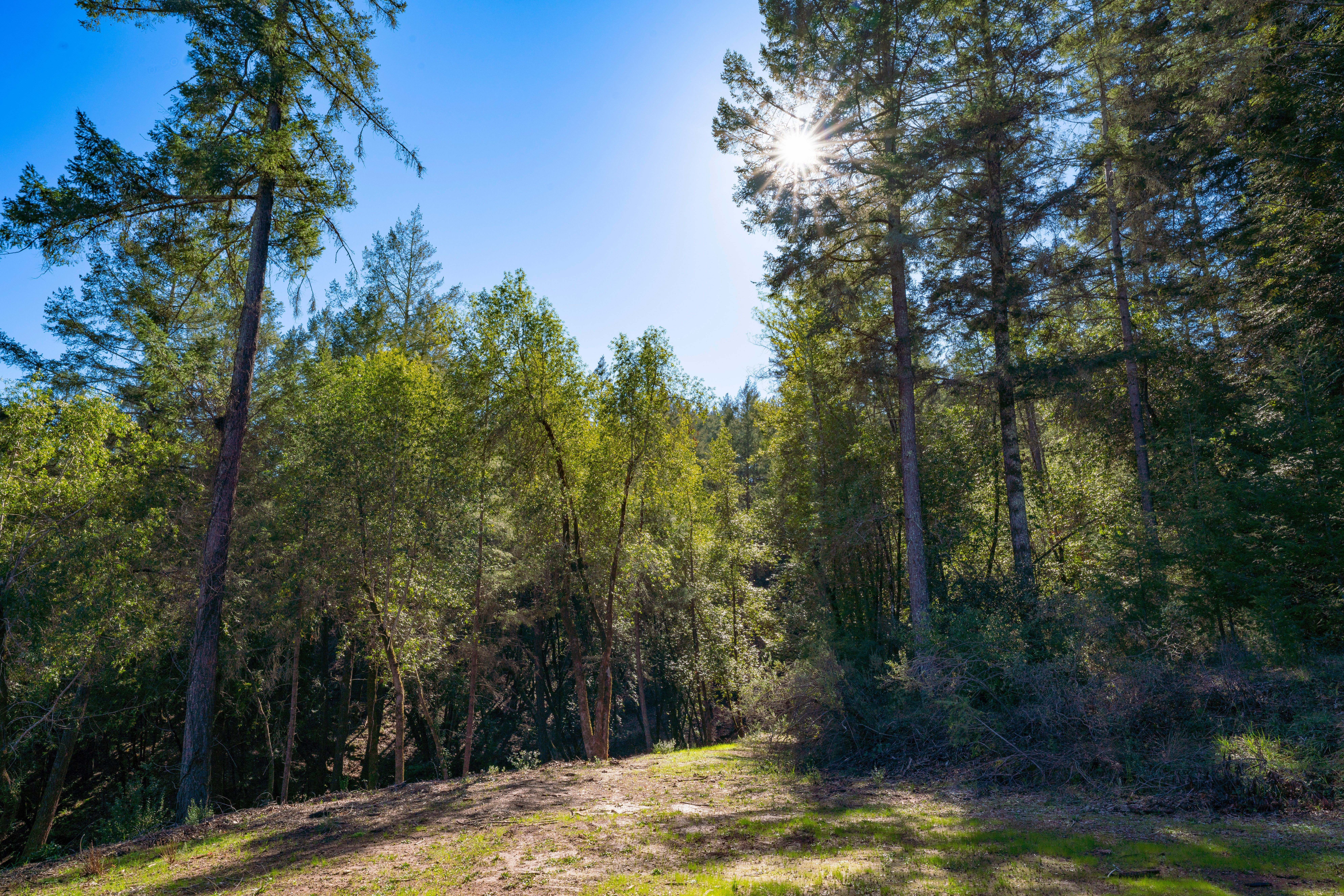  3210 West Dry Creek Road, Healdsburg, CA 95448 - 物件實景