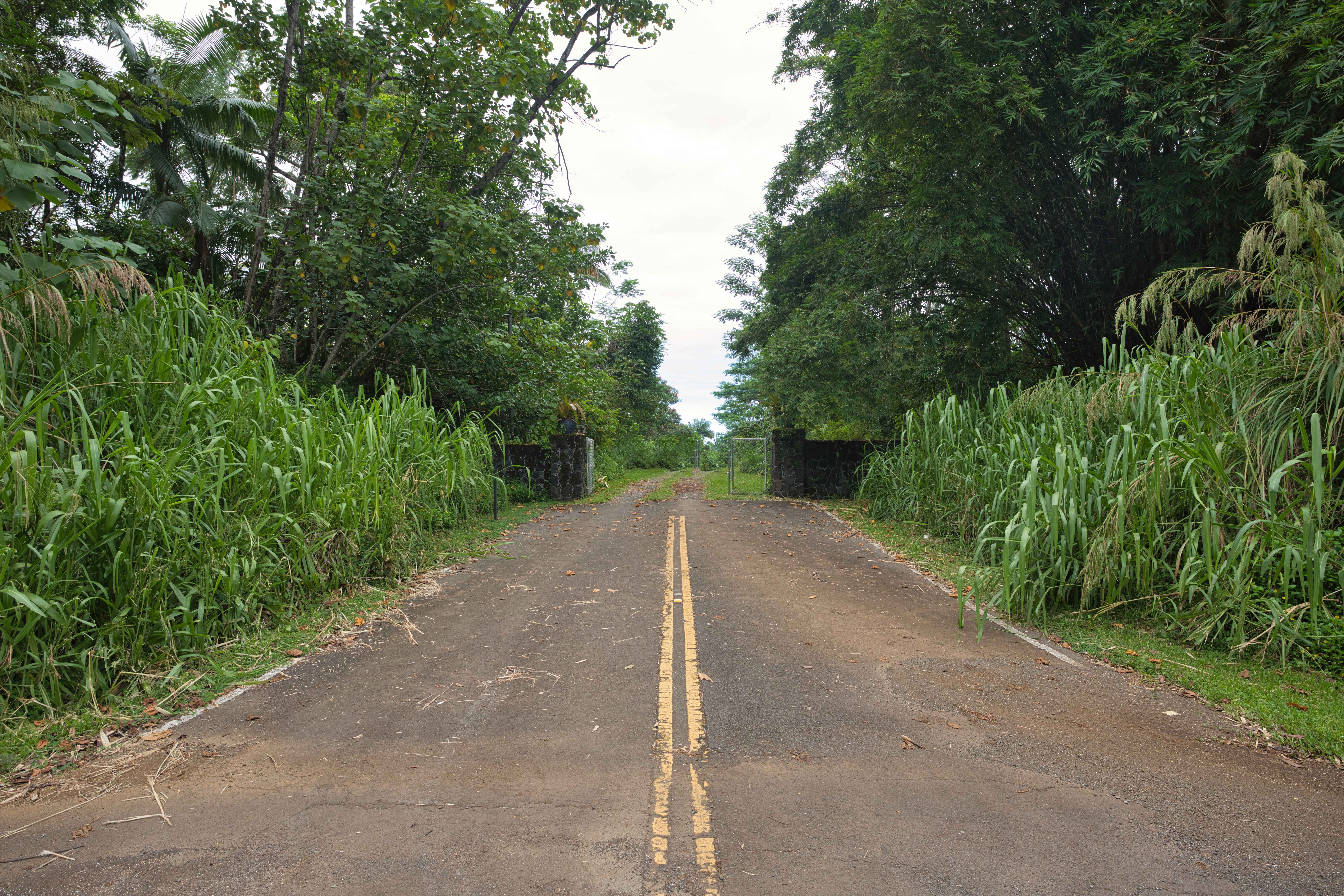  27-2430 Hawaii Belt Rd, Papaikou, HI, 96781 - 物件實景