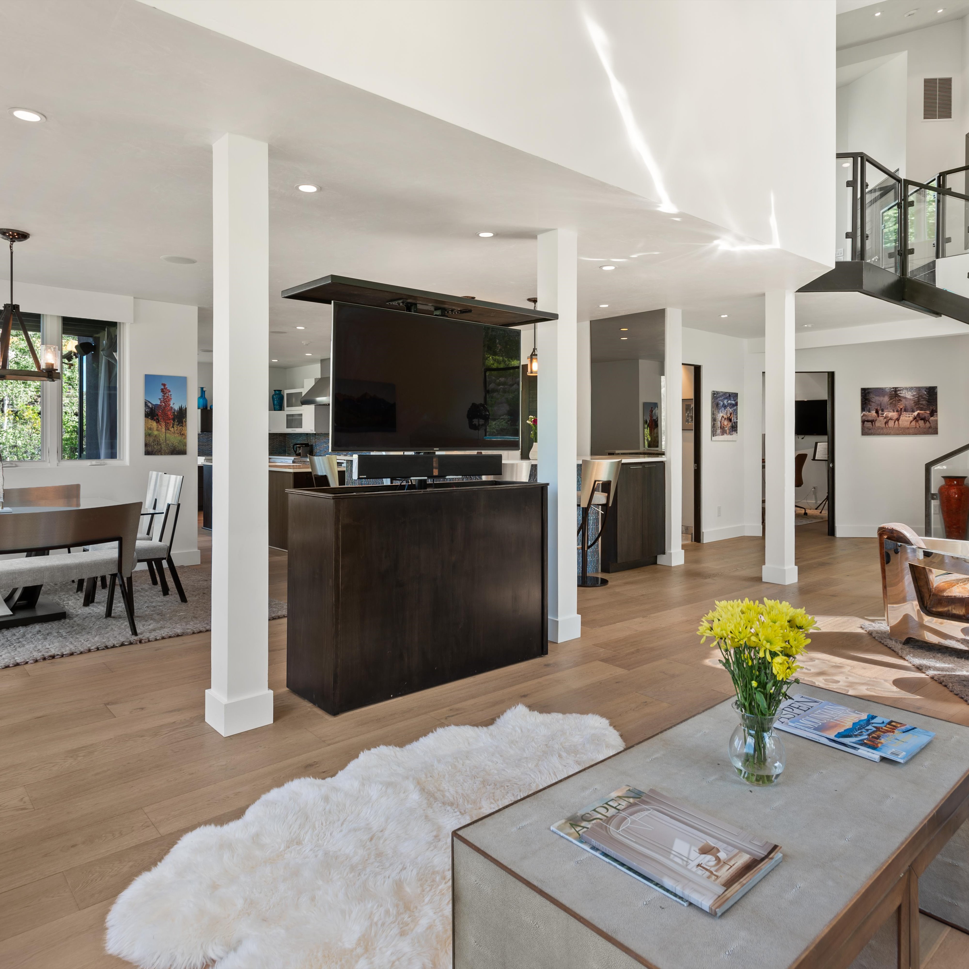  257 Mountain Laurel Drive, Aspen, CO, 81611 - 物件實景