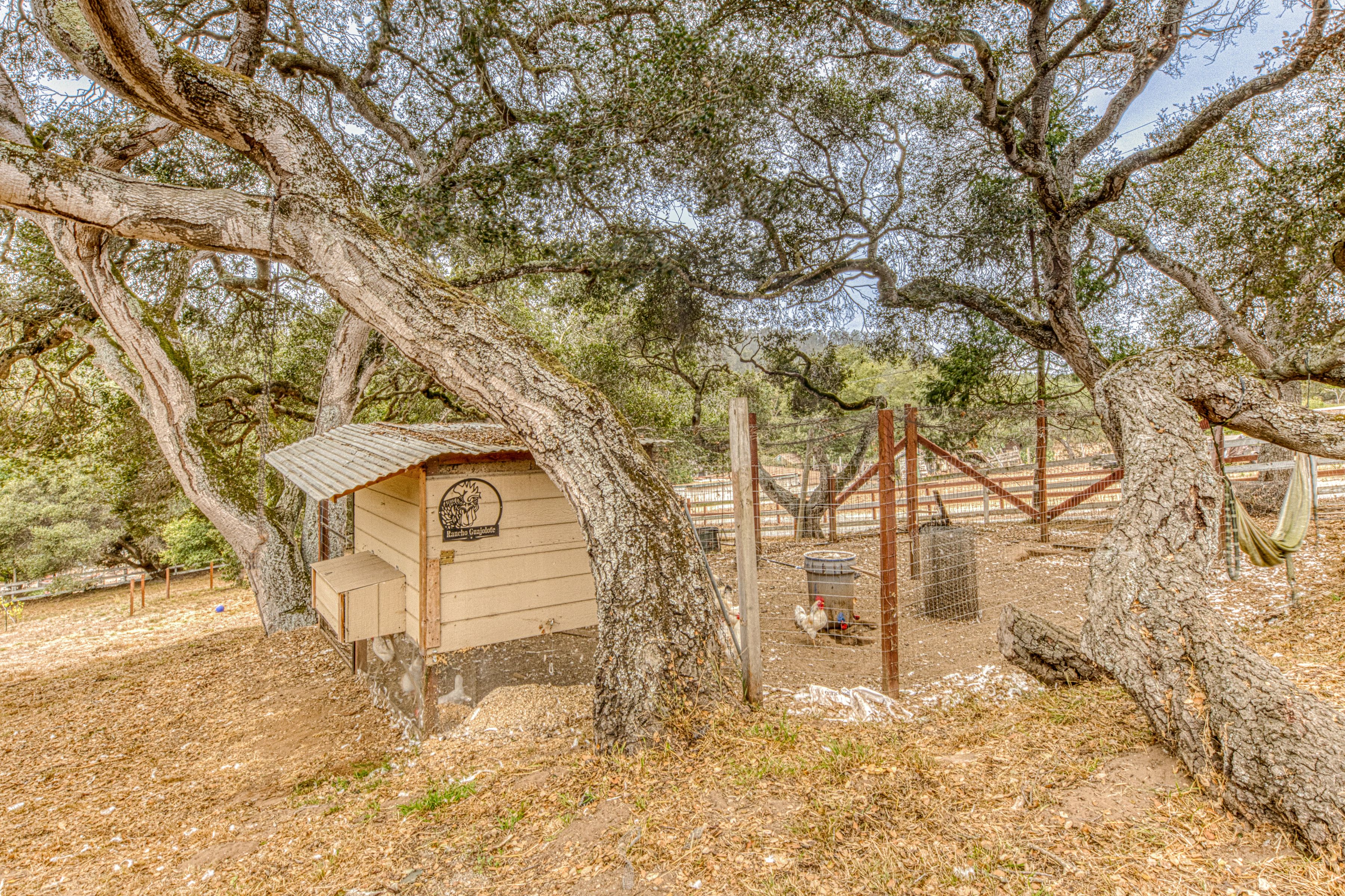  501 Maher Road #A, Royal Oaks - 物件實景