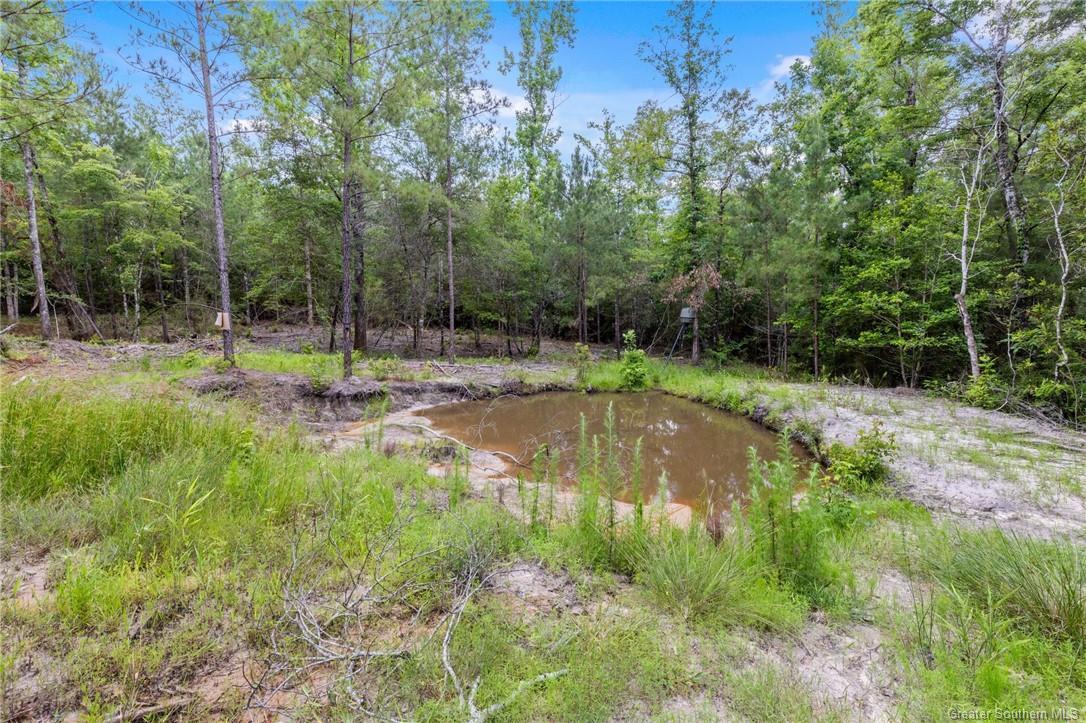 1781 Barham Road, Hornbeck, Louisiana, 71439, United States, 2 Bedrooms Bedrooms, ,2 BathroomsBathrooms,Residential,For Sale,1781 Barham Road,1623067