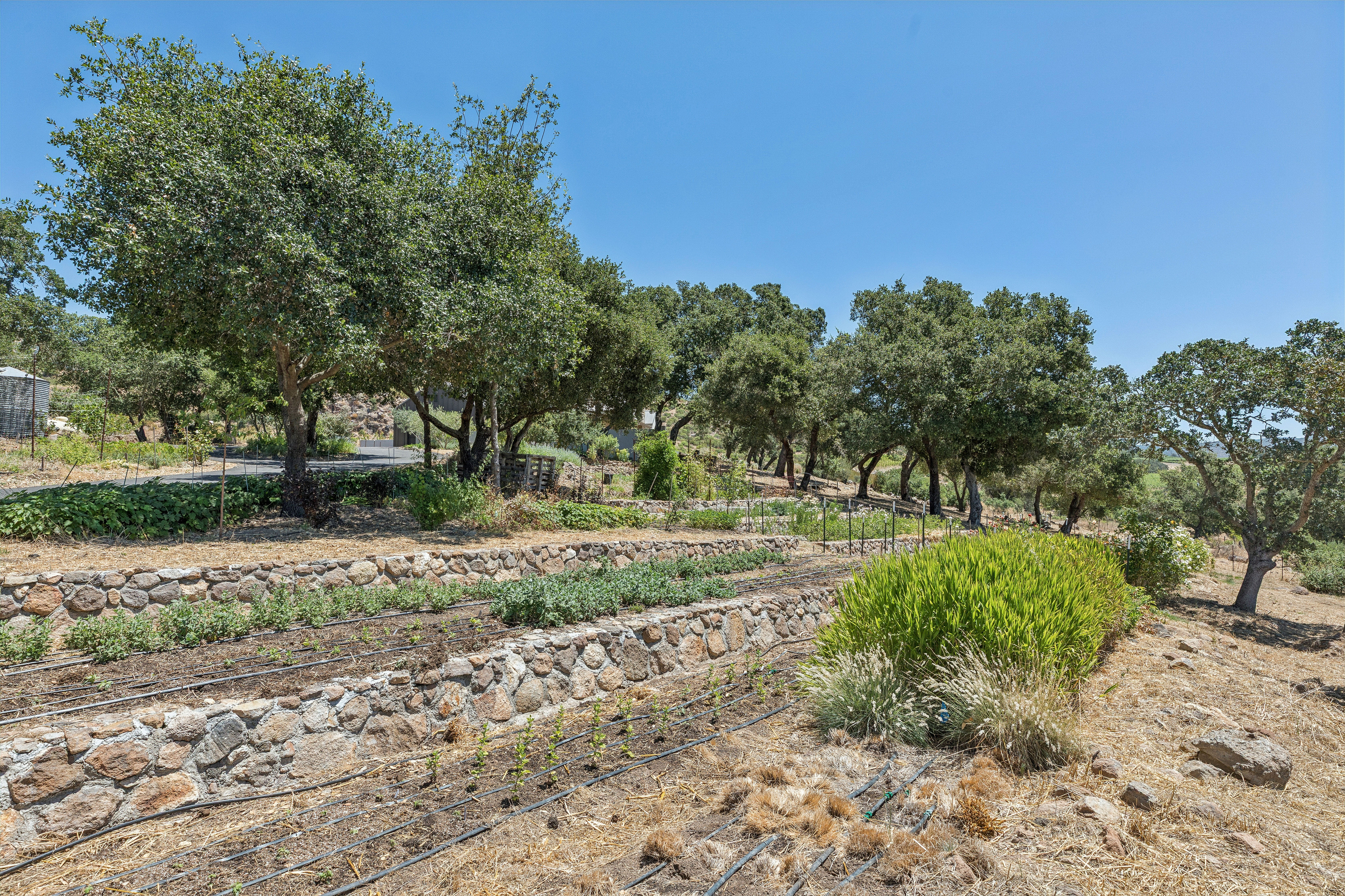  Refined Wine Country Estate - 物件實景
