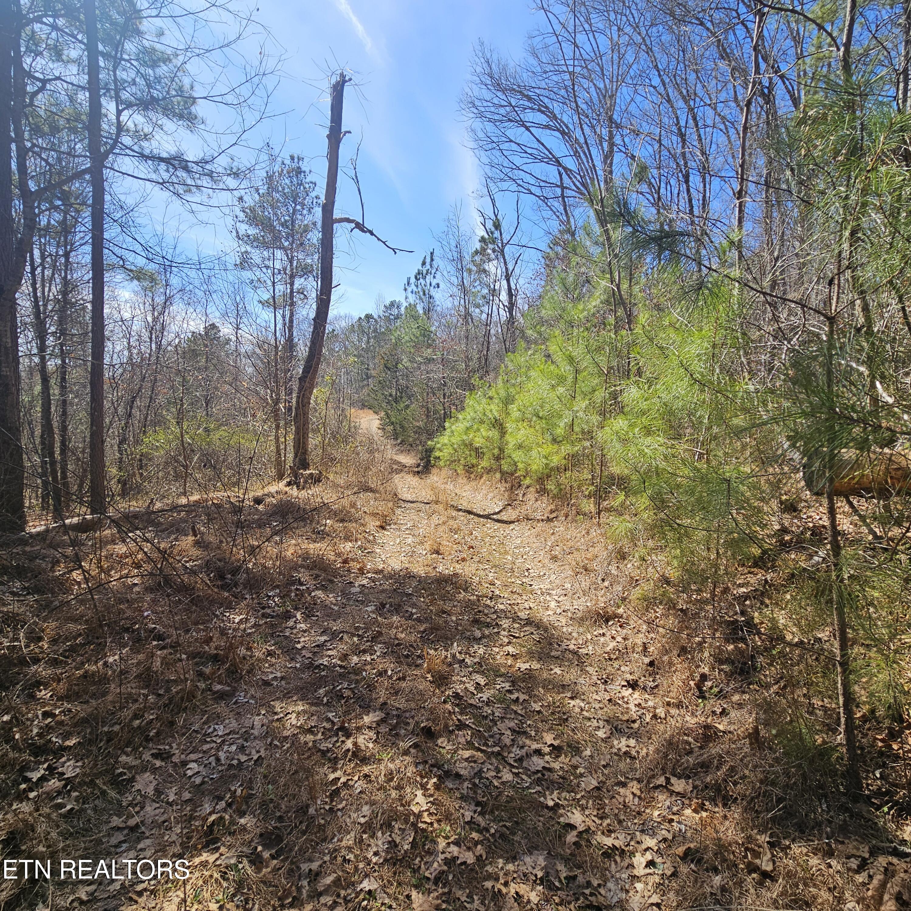 Tellico Plains, Tennessee, 37385, United States, ,Residential,For Sale,1922105