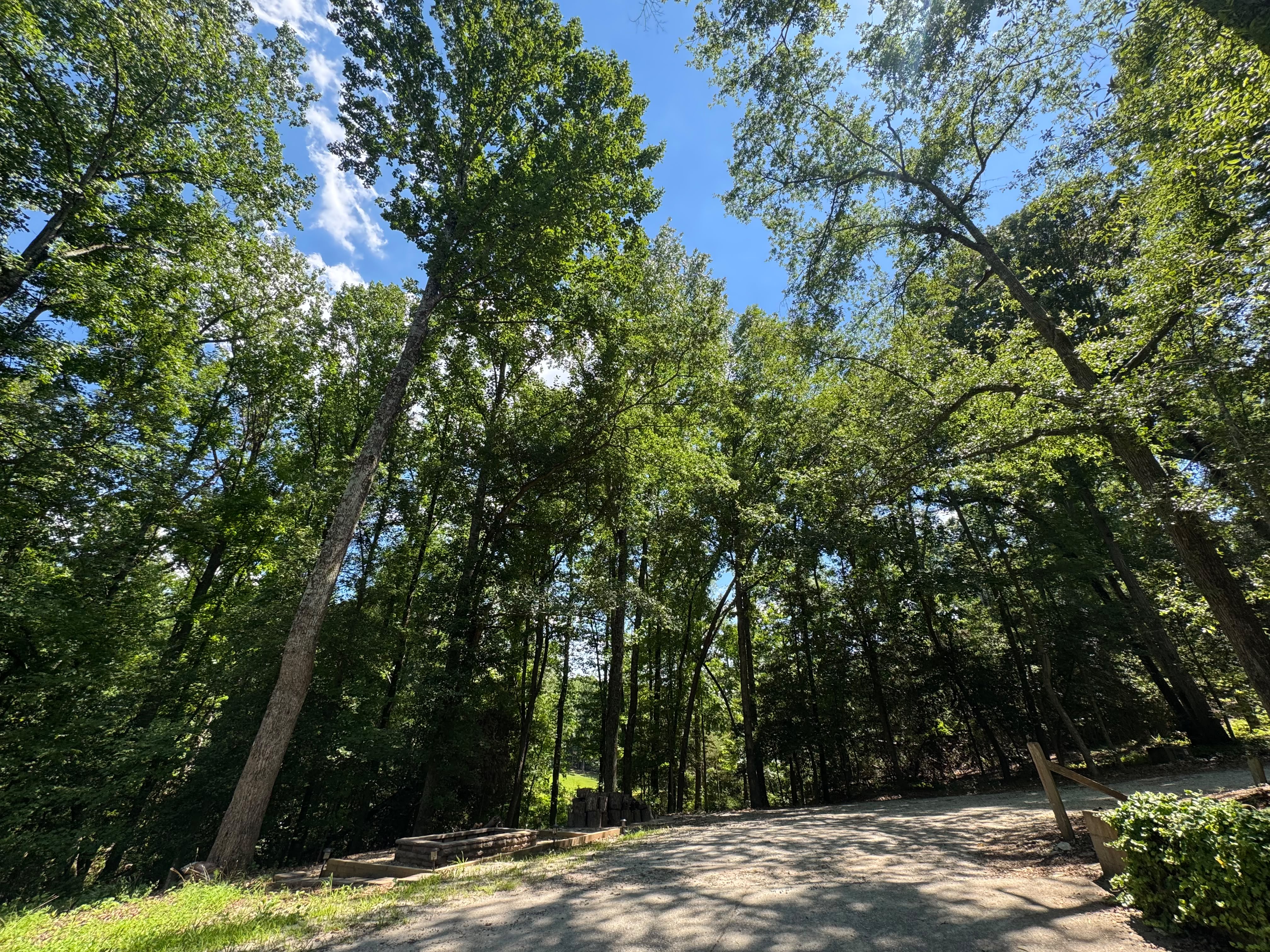  535 Mahaffey Drive, Greer, SC 29651 - 物件實景