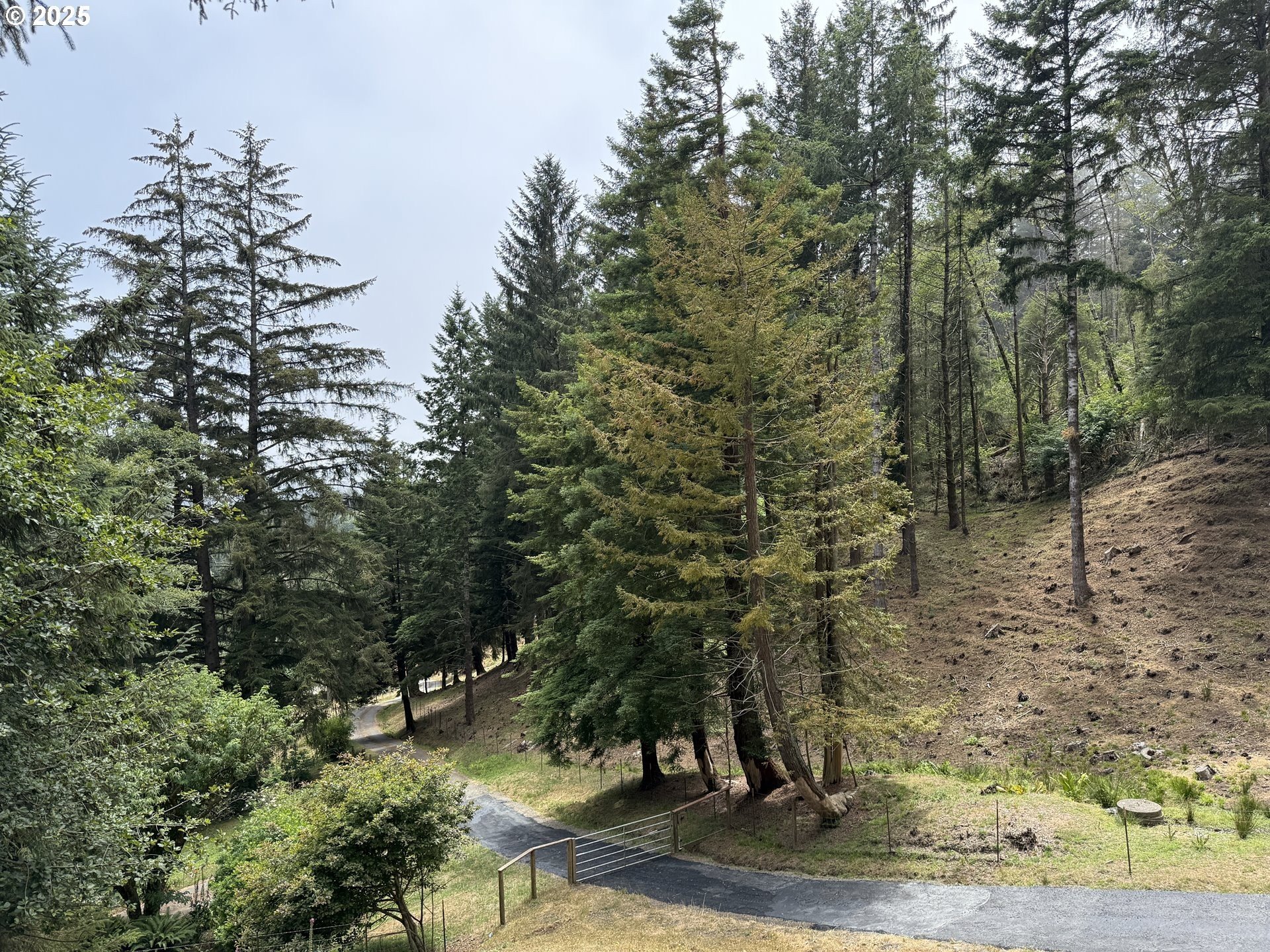 Brookings, Oregon, 97415, United States, 4 Bedrooms Bedrooms, ,2 BathroomsBathrooms,Residential,For Sale,1982751