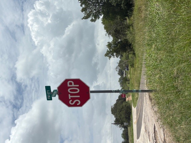 Lockhart, Texas, 78644, United States, ,Land,For Sale,1885352