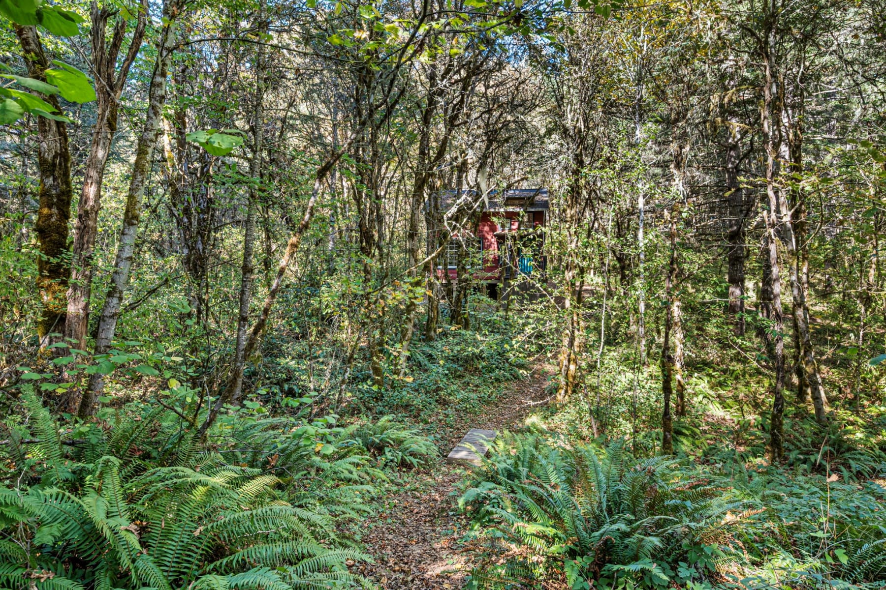  24027 HAWLEY CREEK RD Monroe, OR 97456 - 物件實景