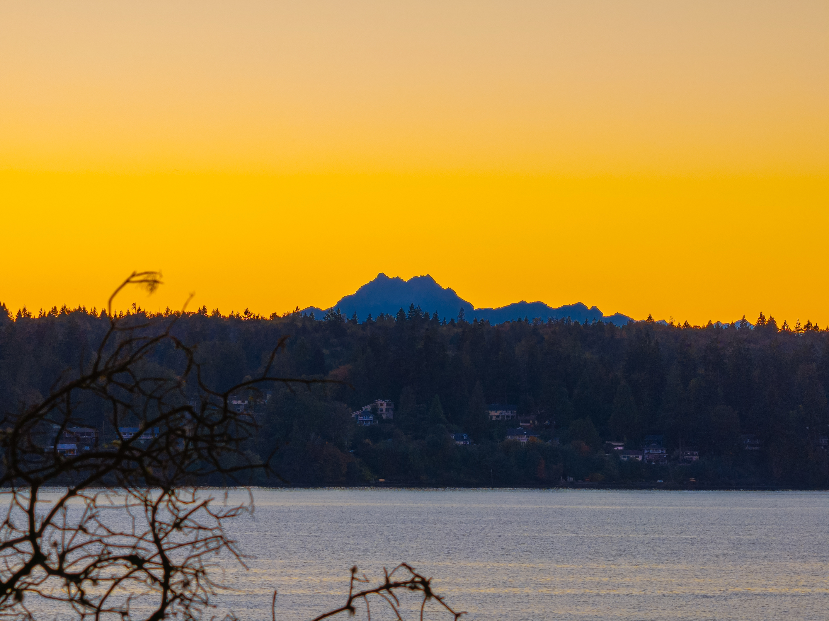  8405 Hansen Road Northeast, Bainbridge Island, WA 98110 - 物件實景