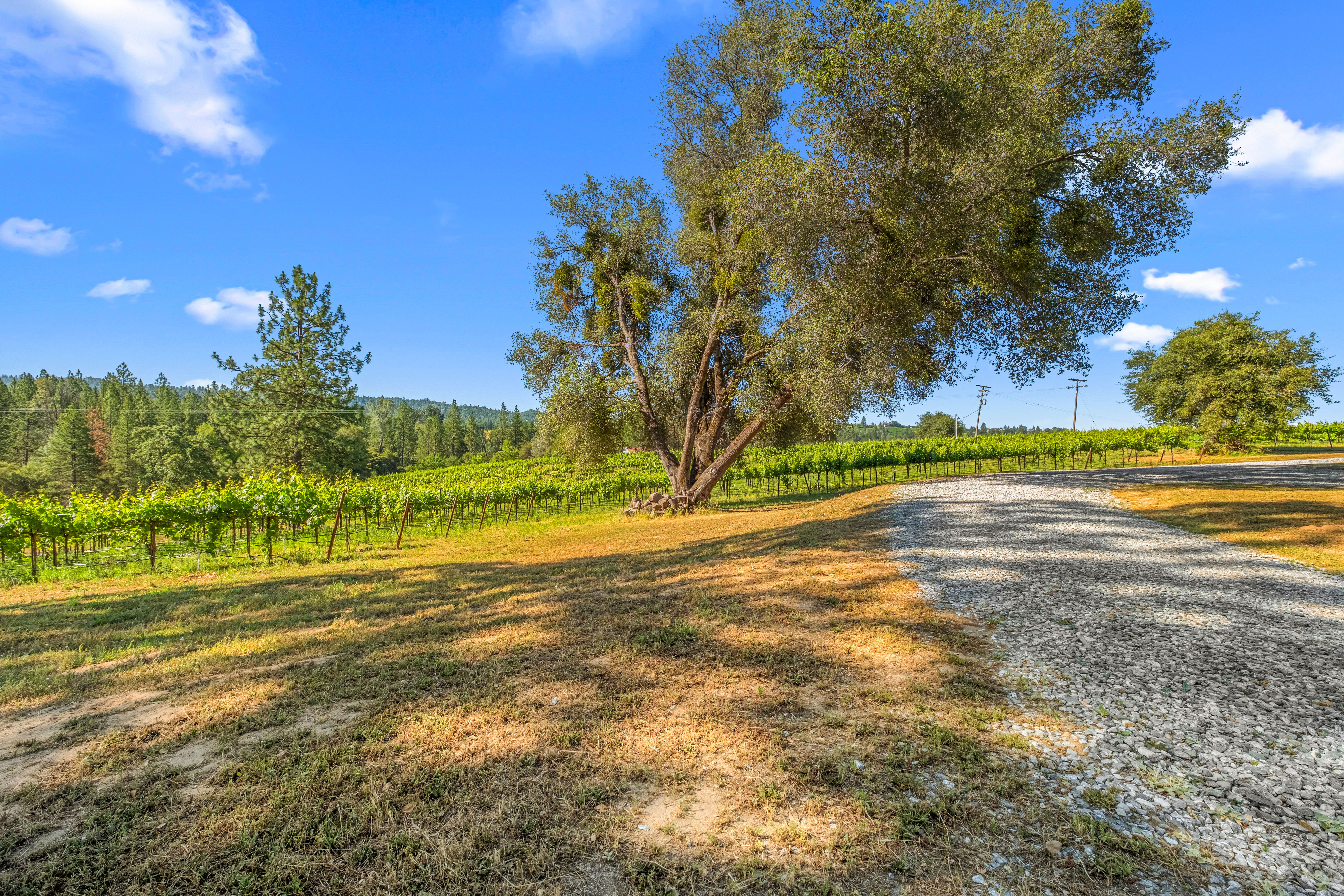  7330 Perry Creek Road, Somerset, CA 95684 - 物件實景
