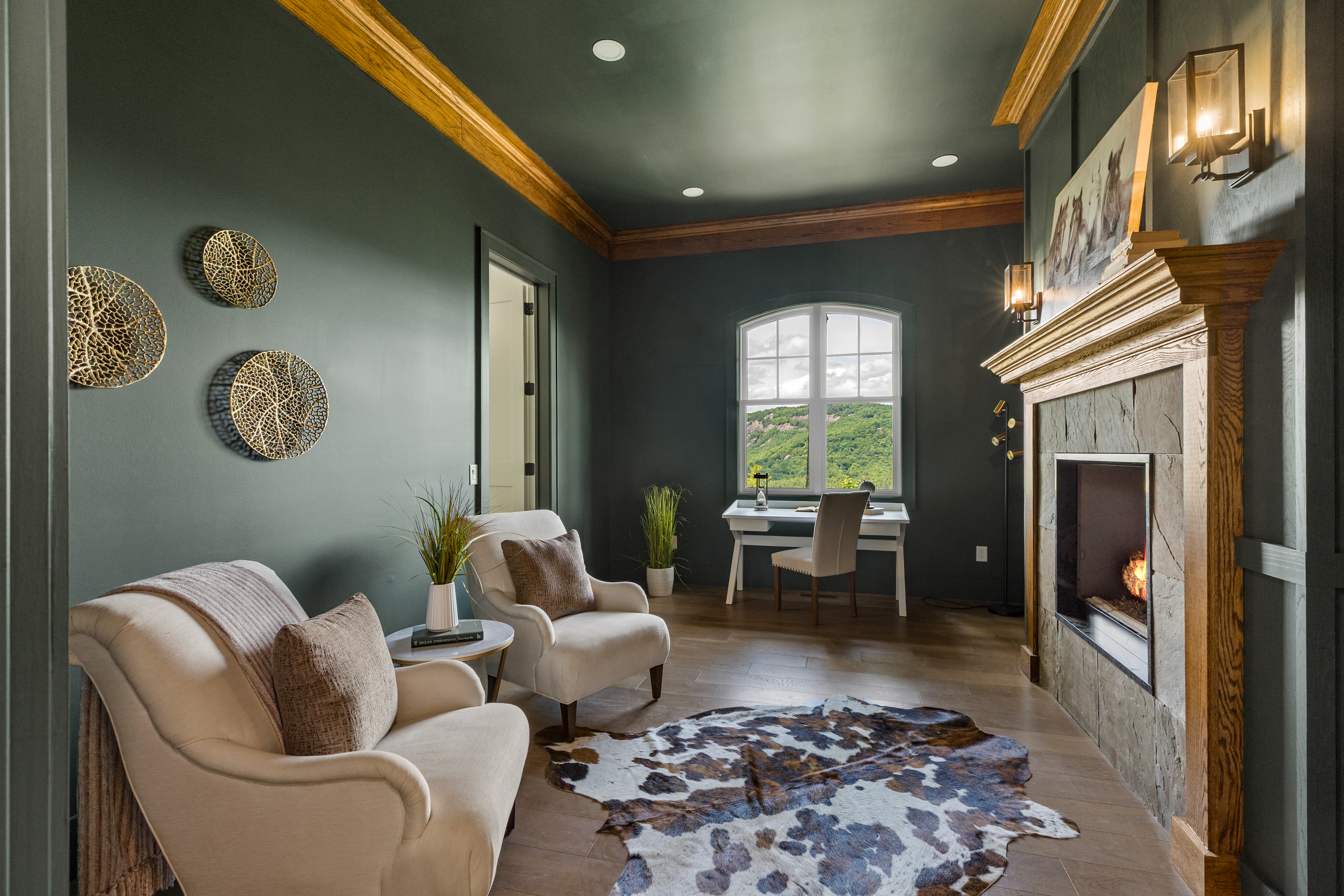  343 Ledgeview Road, Cedar Hill - 物件實景