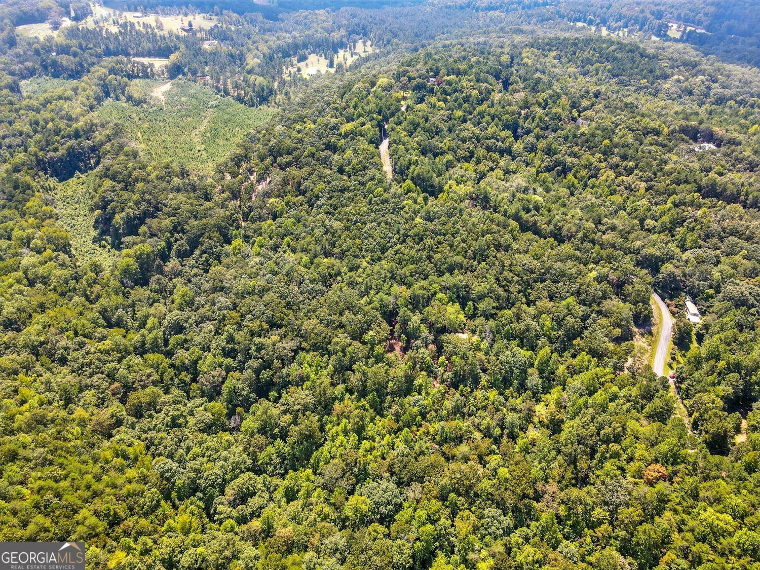 Waleska, Georgia, 30183, United States, ,Land,For Sale,1929808