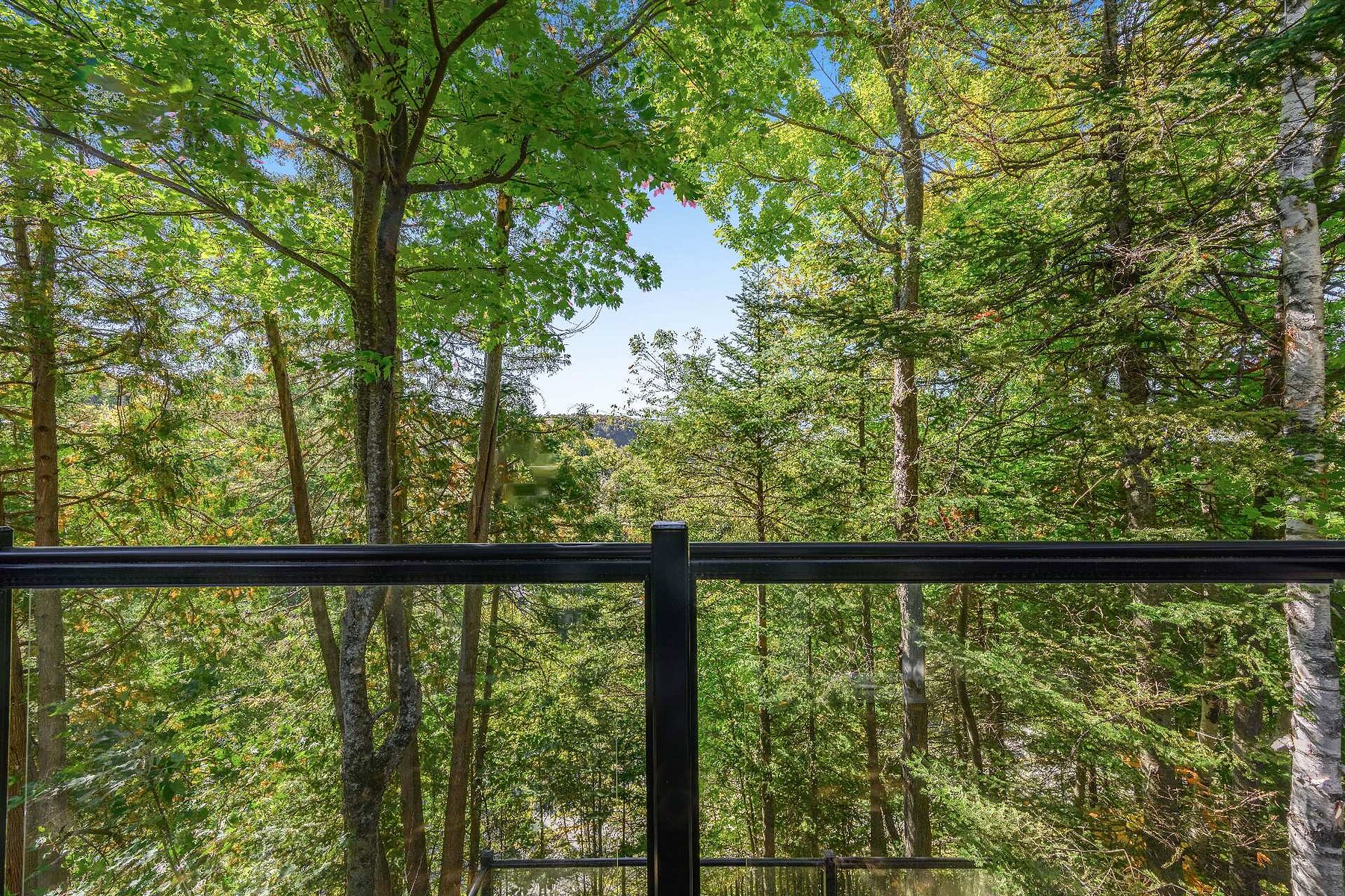  Saint-Sauveur, Quebec, Laurentides - 物件實景