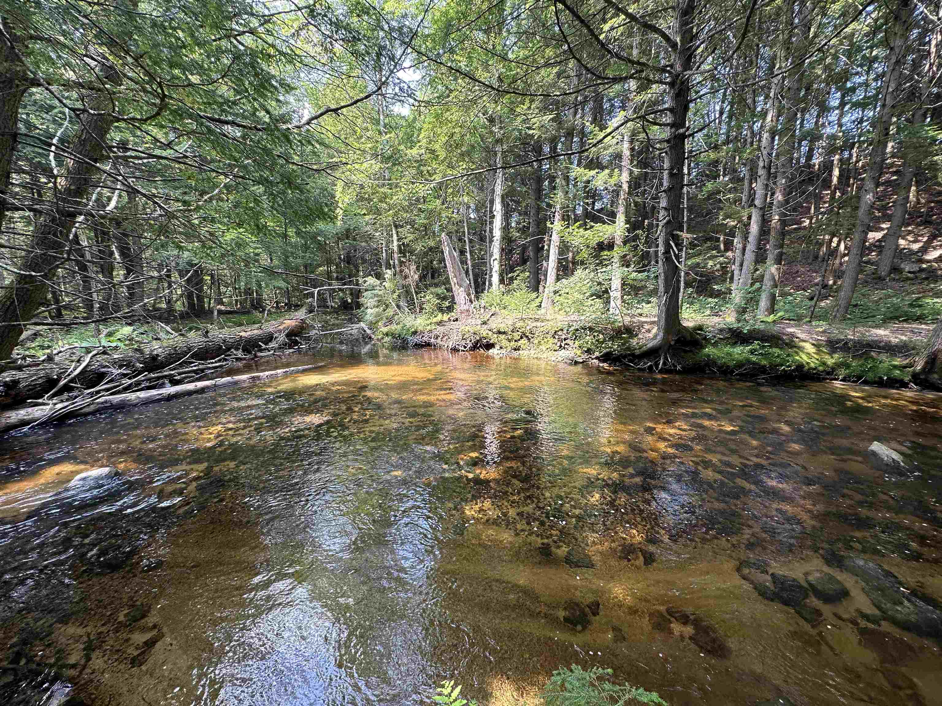 Grafton, New Hampshire, 03240, United States, 4 Bedrooms Bedrooms, ,1 BathroomBathrooms,Residential,For Sale,1737414