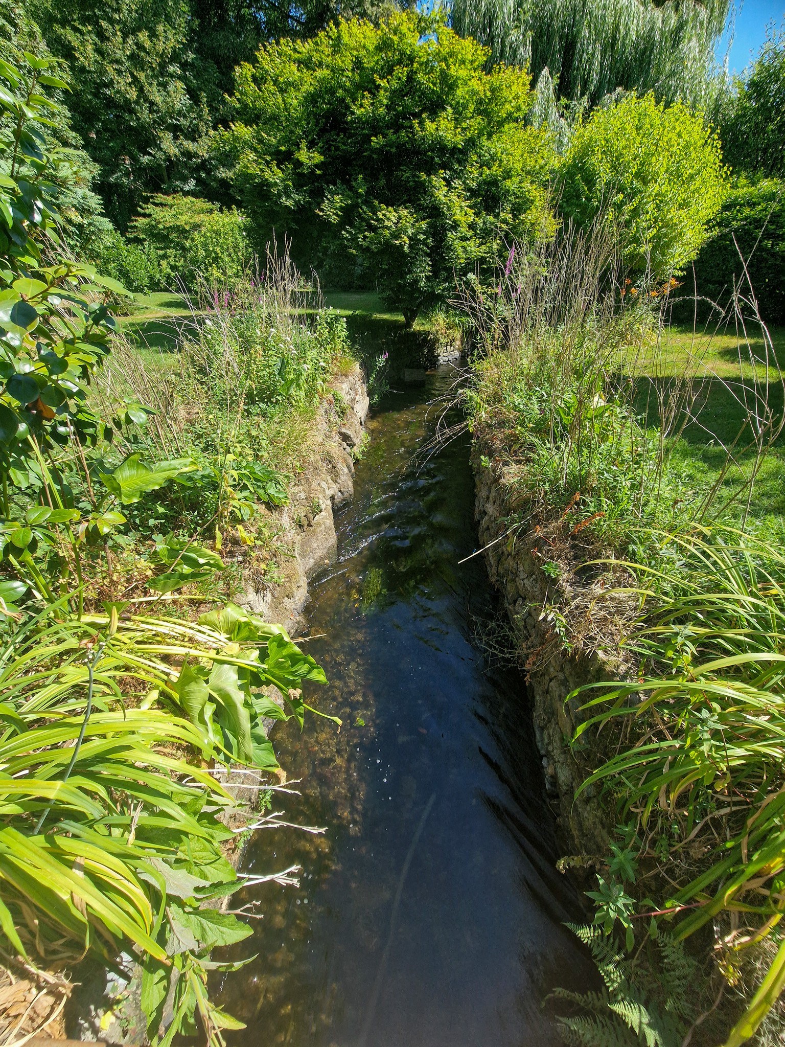  Guingamp authentic mill with 2 outbuildings in an idyllic setting with city cen… - 物件實景