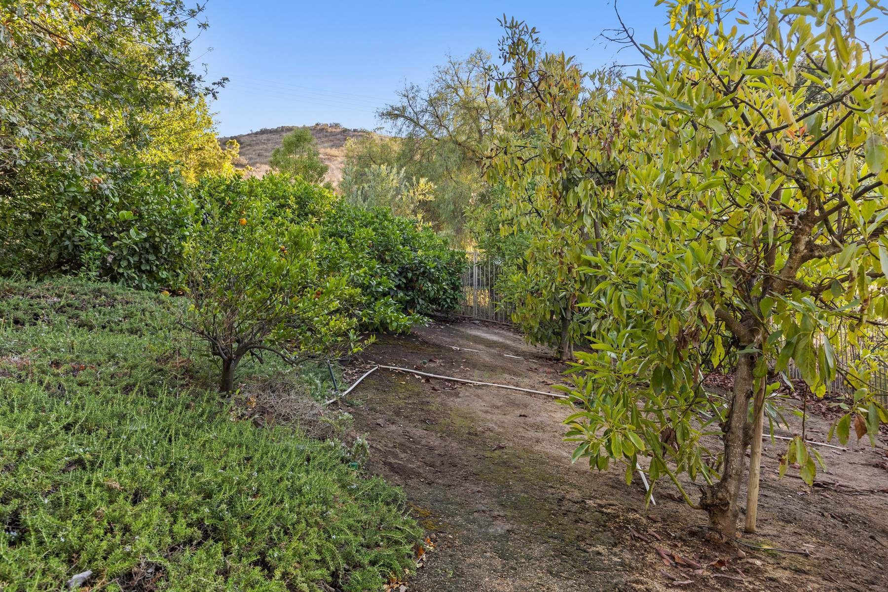  4988 Read Road, Thousand Oaks - 物件實景
