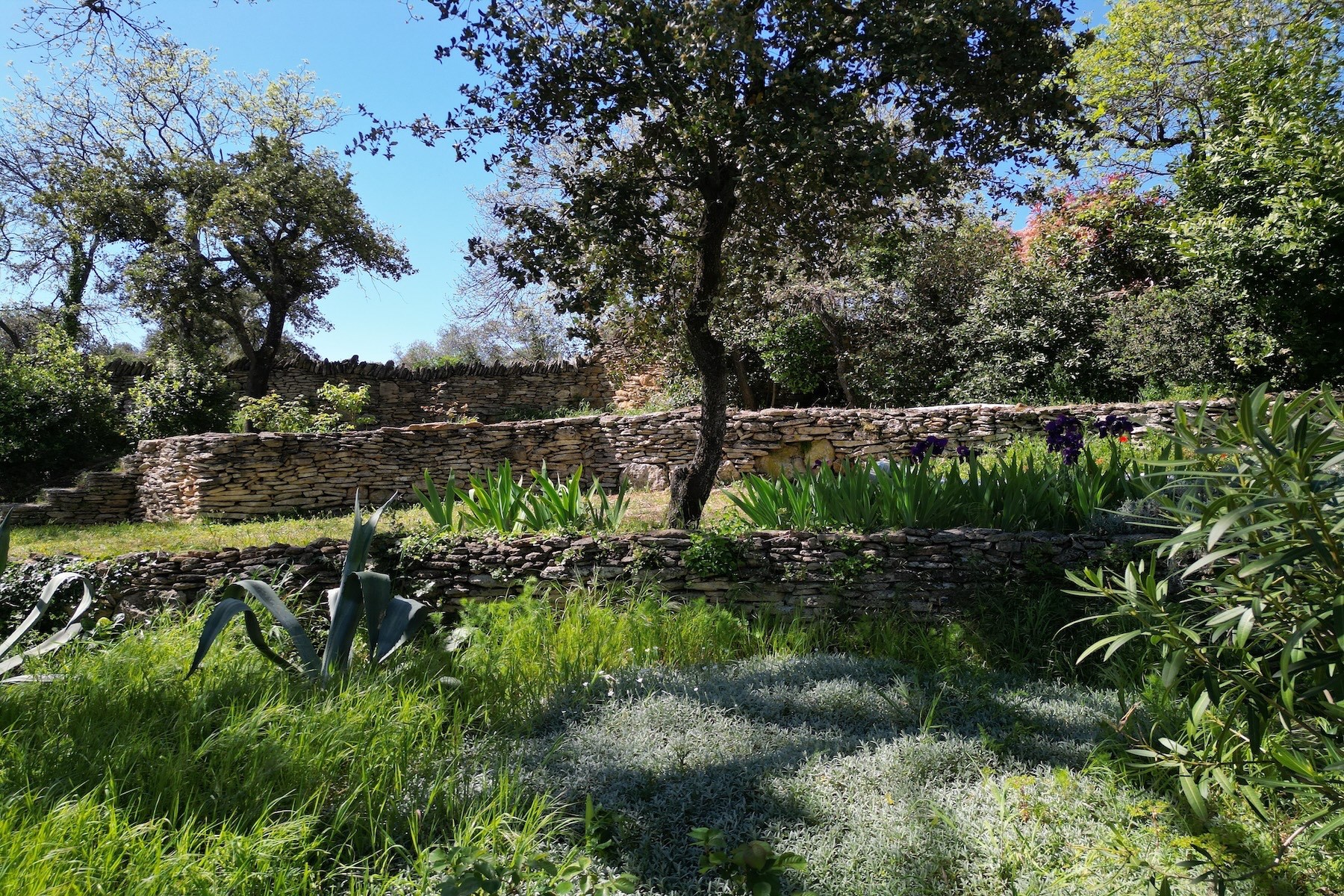  A Character Property in the Heart of the Gard - 物件實景