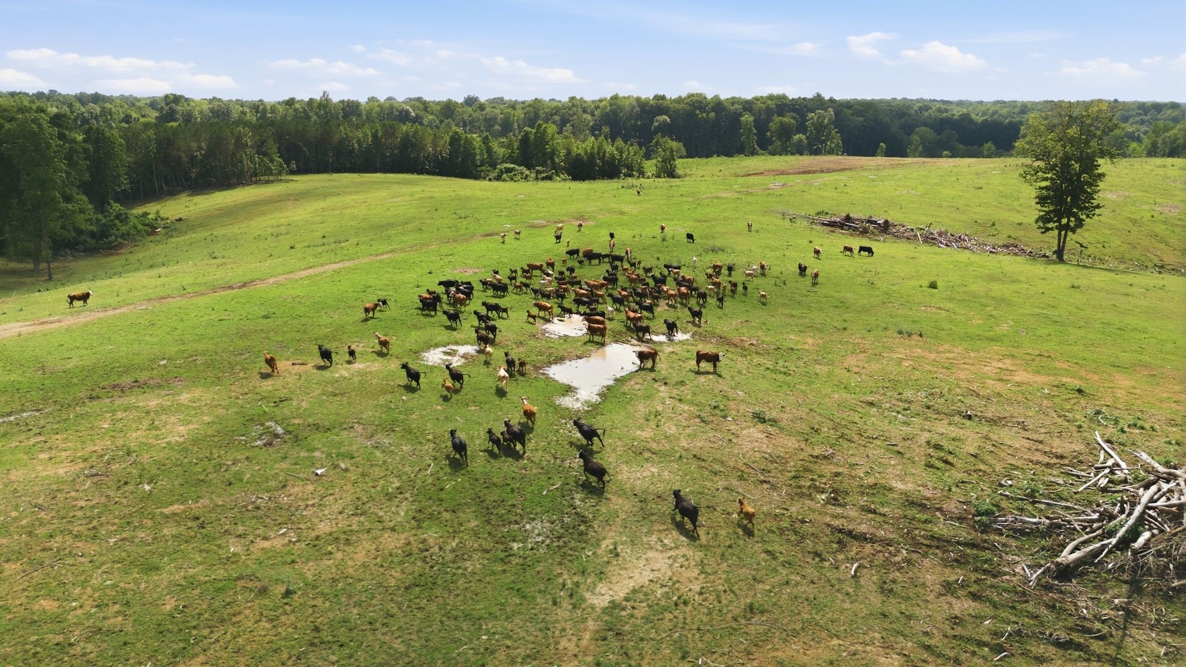  925 Sumac Rd, Pulaski, TN, 38478 - 物件實景