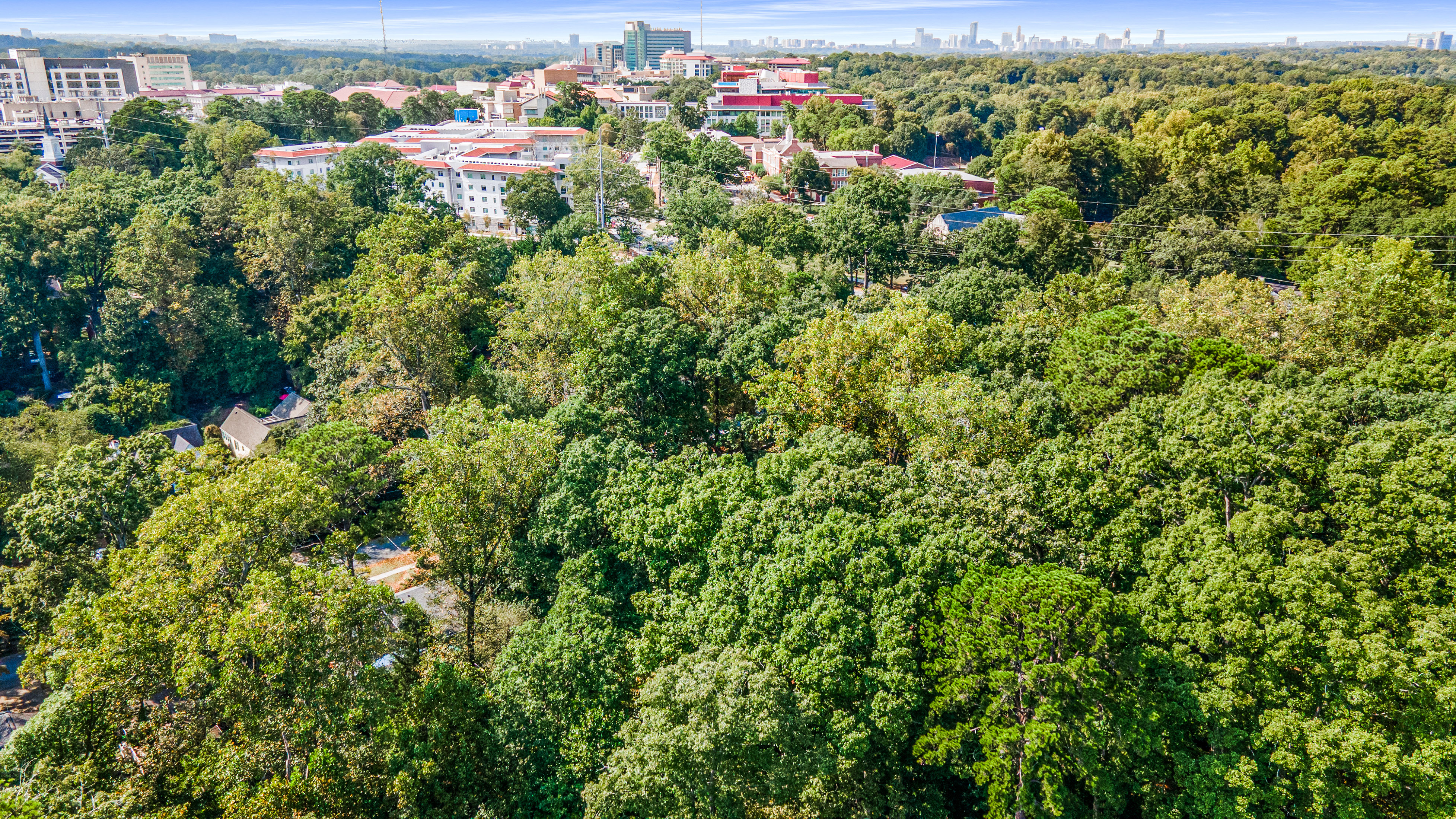  Three Contiguous Lots for New Construction in Historic Druid Hills - 物件實景
