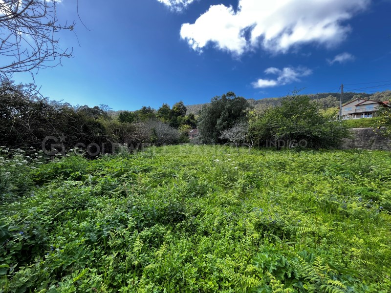 Pontevedra, Moa?a, Moa?a (San Marti?o P. E Virxe d, Moaña, Galicia, ES, 7 Bedrooms Bedrooms, ,2 BathroomsBathrooms,Residential,For Sale,Pontevedra, Moa?a, Moa?a (San Marti?o P. E Virxe d,1623275