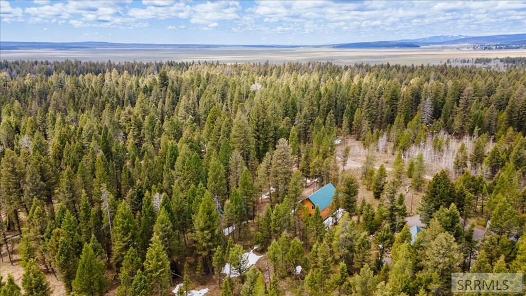 Island Park, Idaho, 83429, United States, 3 Bedrooms Bedrooms, ,2 BathroomsBathrooms,Residential,For Sale,1766025