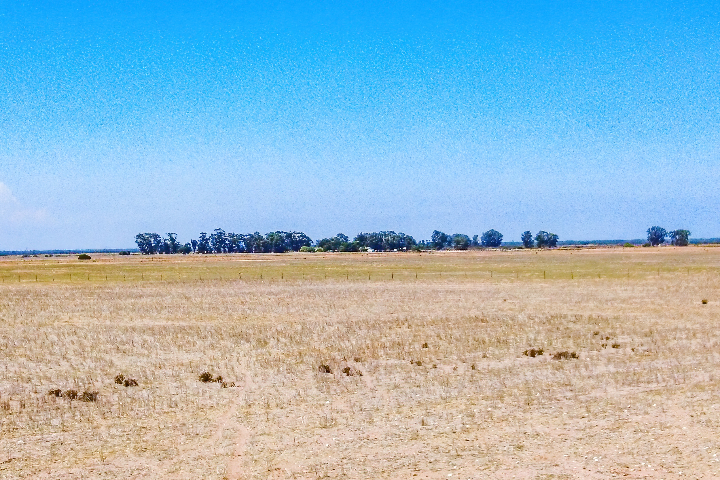  81/4 Brakfontein farm - 物件實景