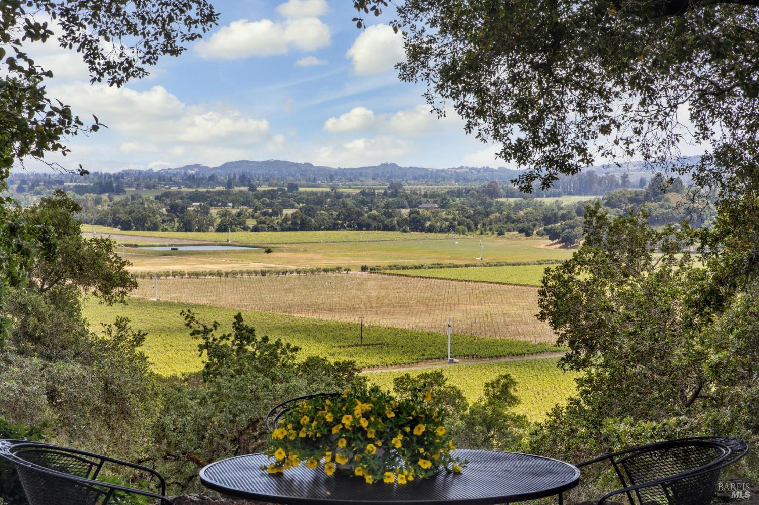 Napa, California, 94558, United States, 6 Bedrooms Bedrooms, ,8 BathroomsBathrooms,Residential,For Sale,1838690