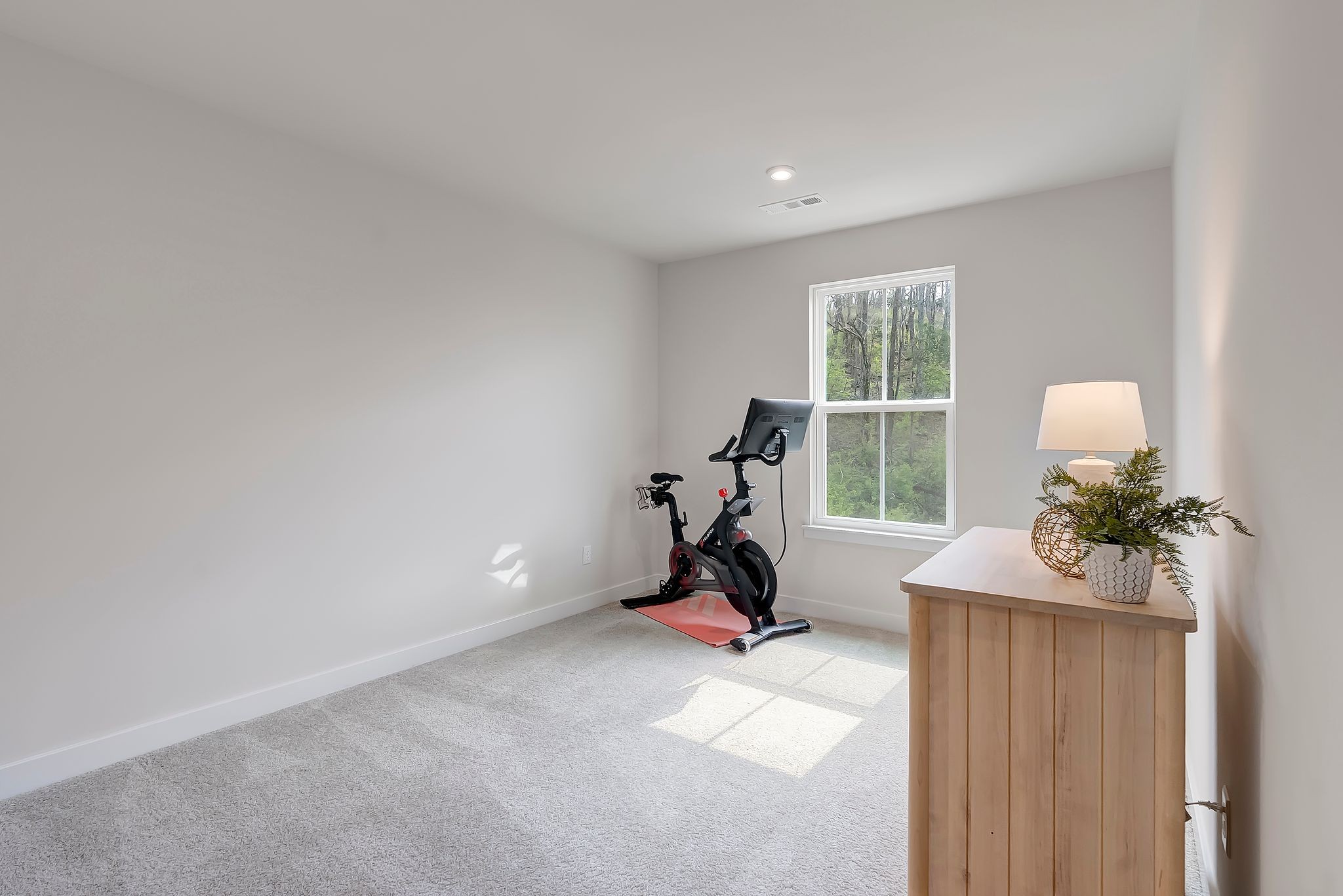  1038 Mountain View Dr, Thompsons Station, TN, 37179 - 物件實景