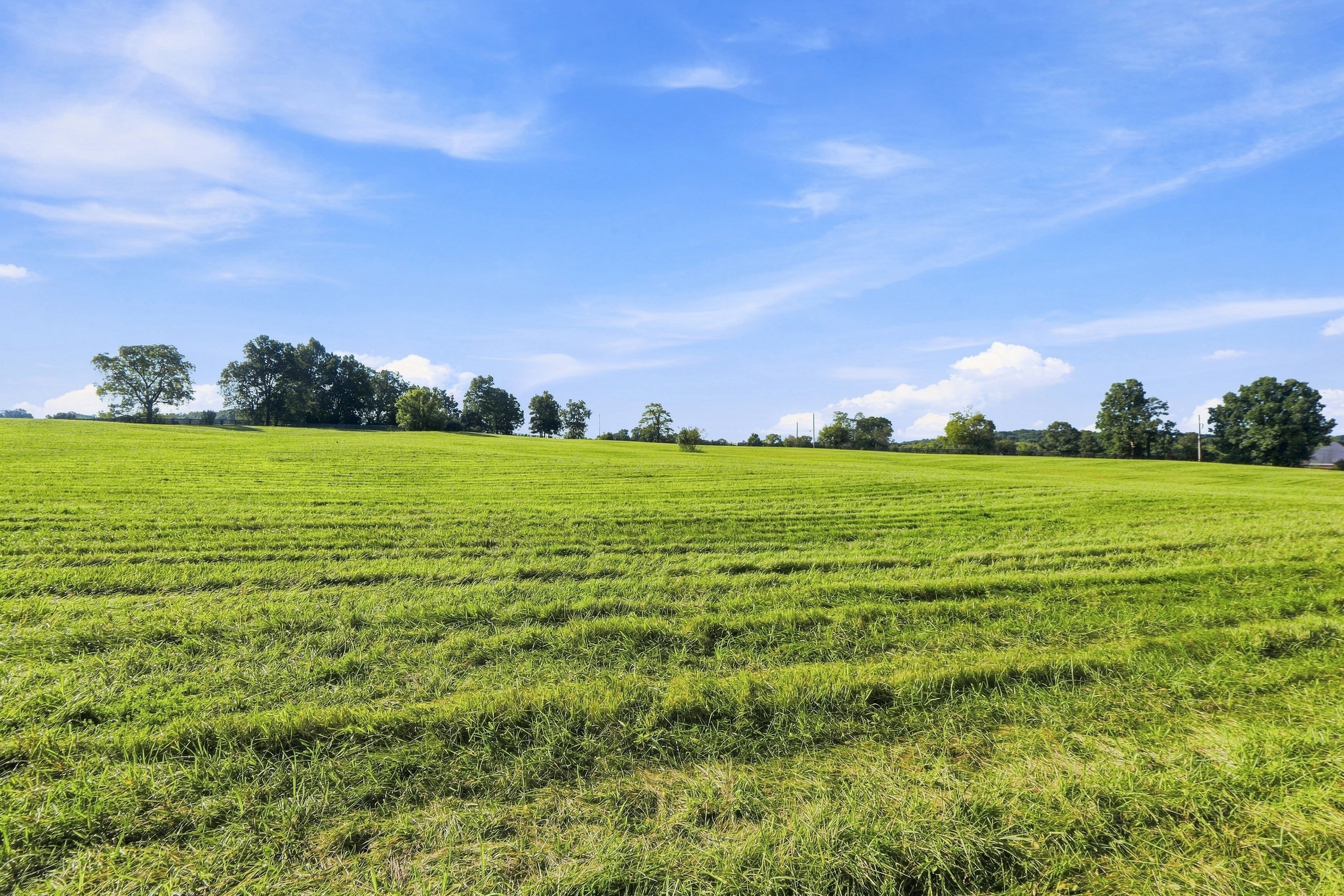  Tract 1 Ballard School Road, La Grange, KY 40031 - 物件實景