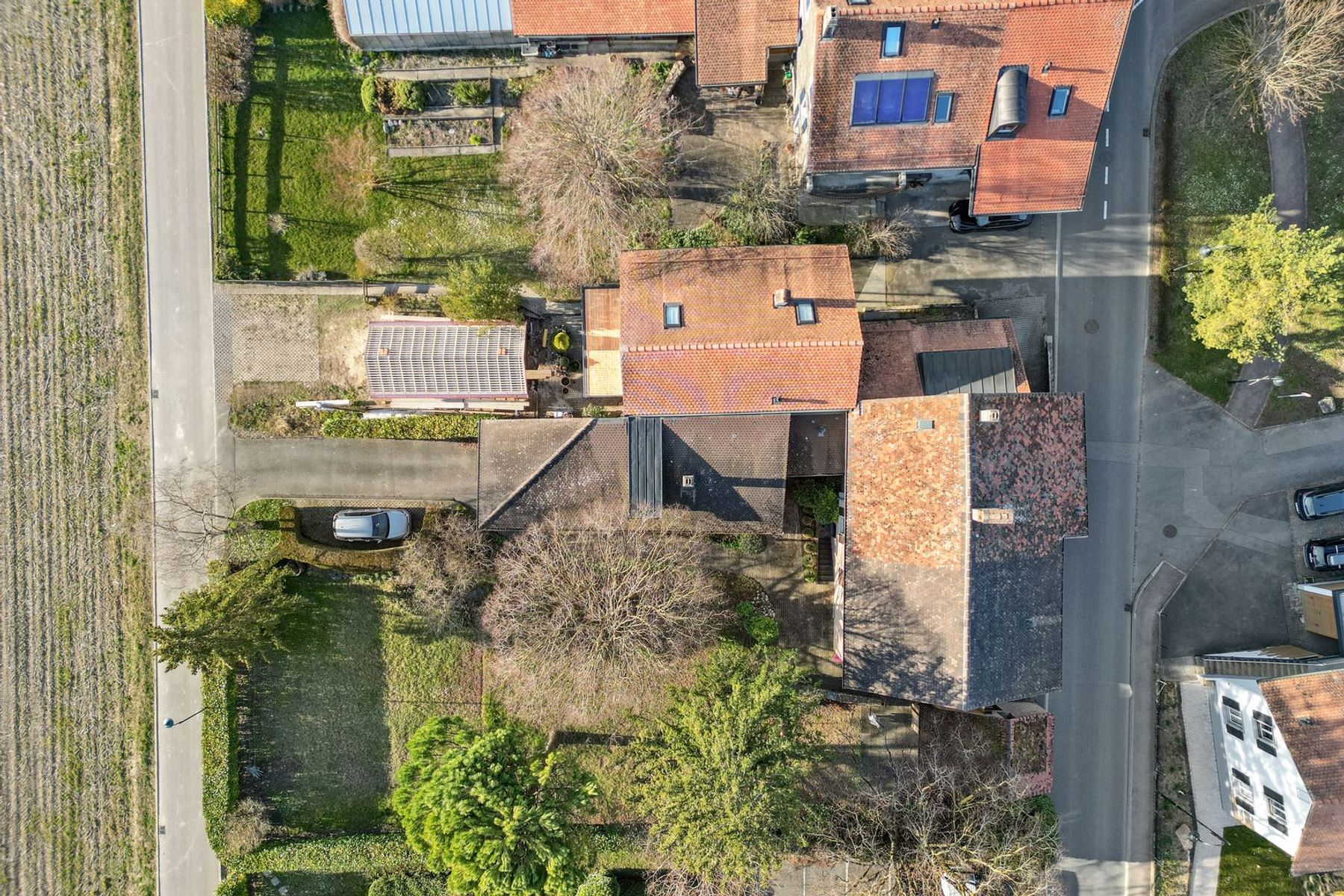  Spacious property in Champagne with house, guest house and garden - 物件實景