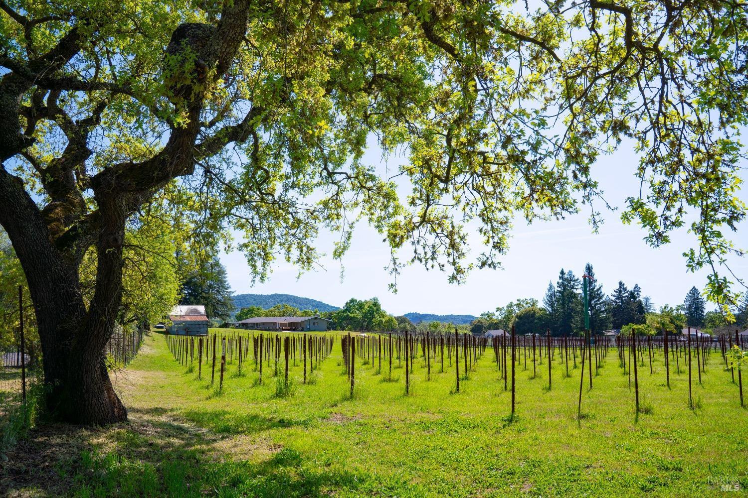 Napa, California, 94558, United States, 4 Bedrooms Bedrooms, ,2 BathroomsBathrooms,Residential,For Sale,1793717