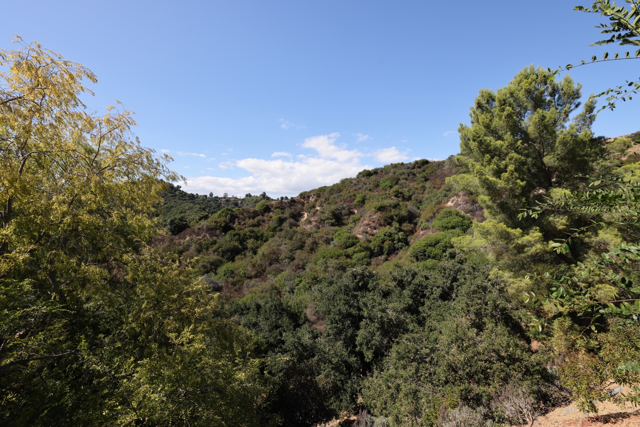  9595 Lime Orchard Rd - 物件實景