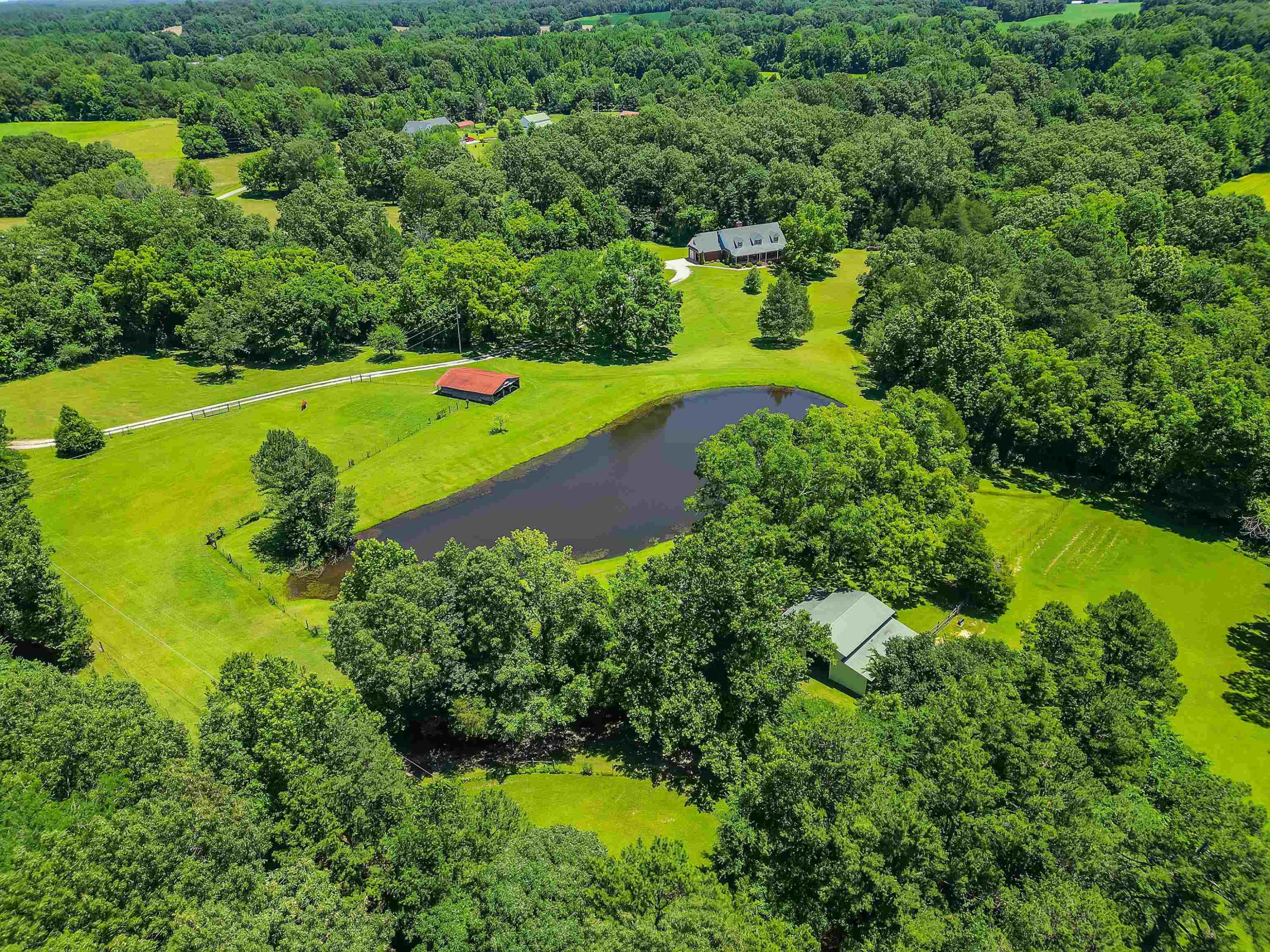 Medina, Tennessee, 38355, United States, 6 Bedrooms Bedrooms, ,4 BathroomsBathrooms,Residential,For Sale,1907793