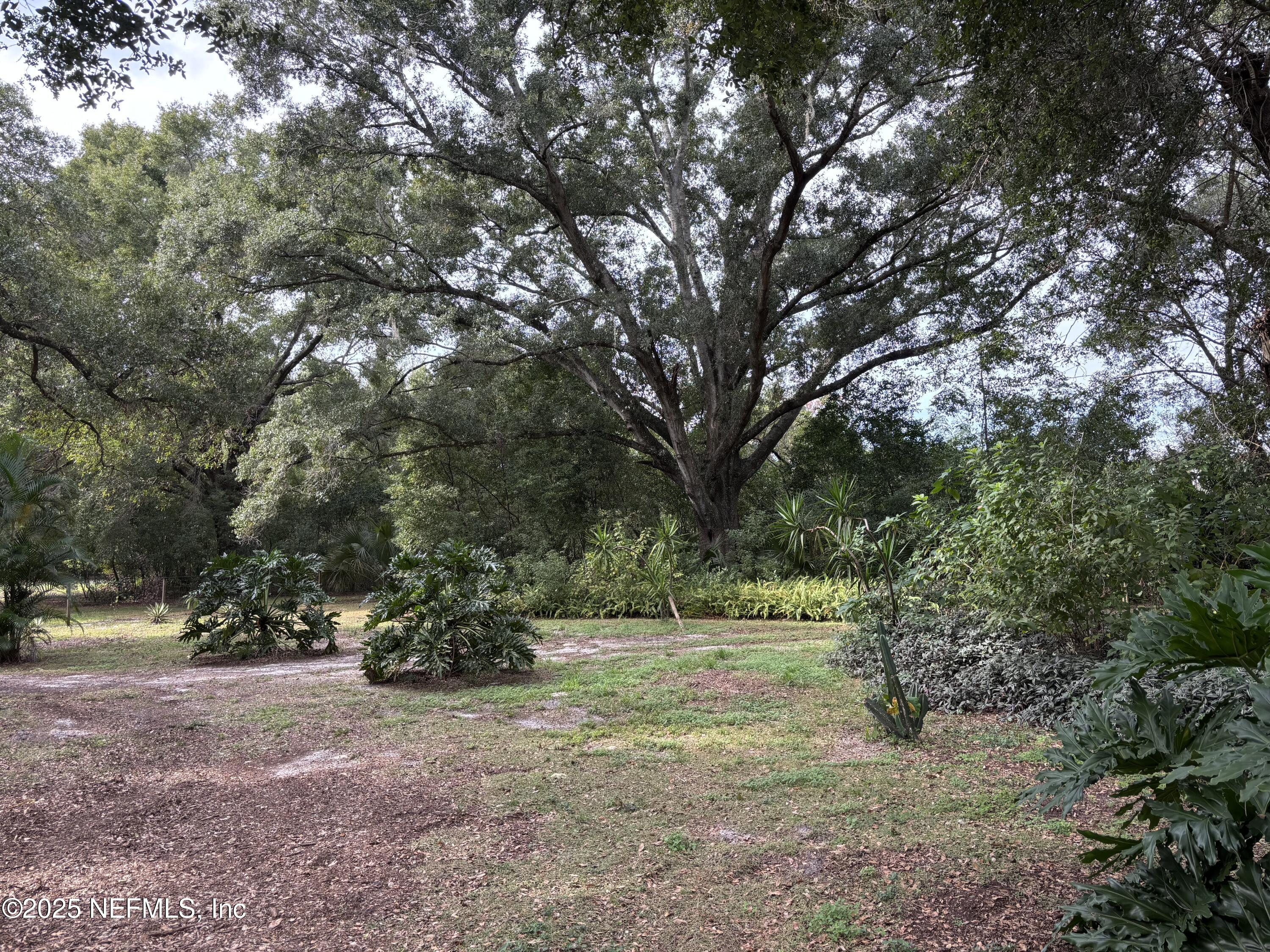 Apopka, Florida, 32712, United States, ,Land,For Sale,1993065