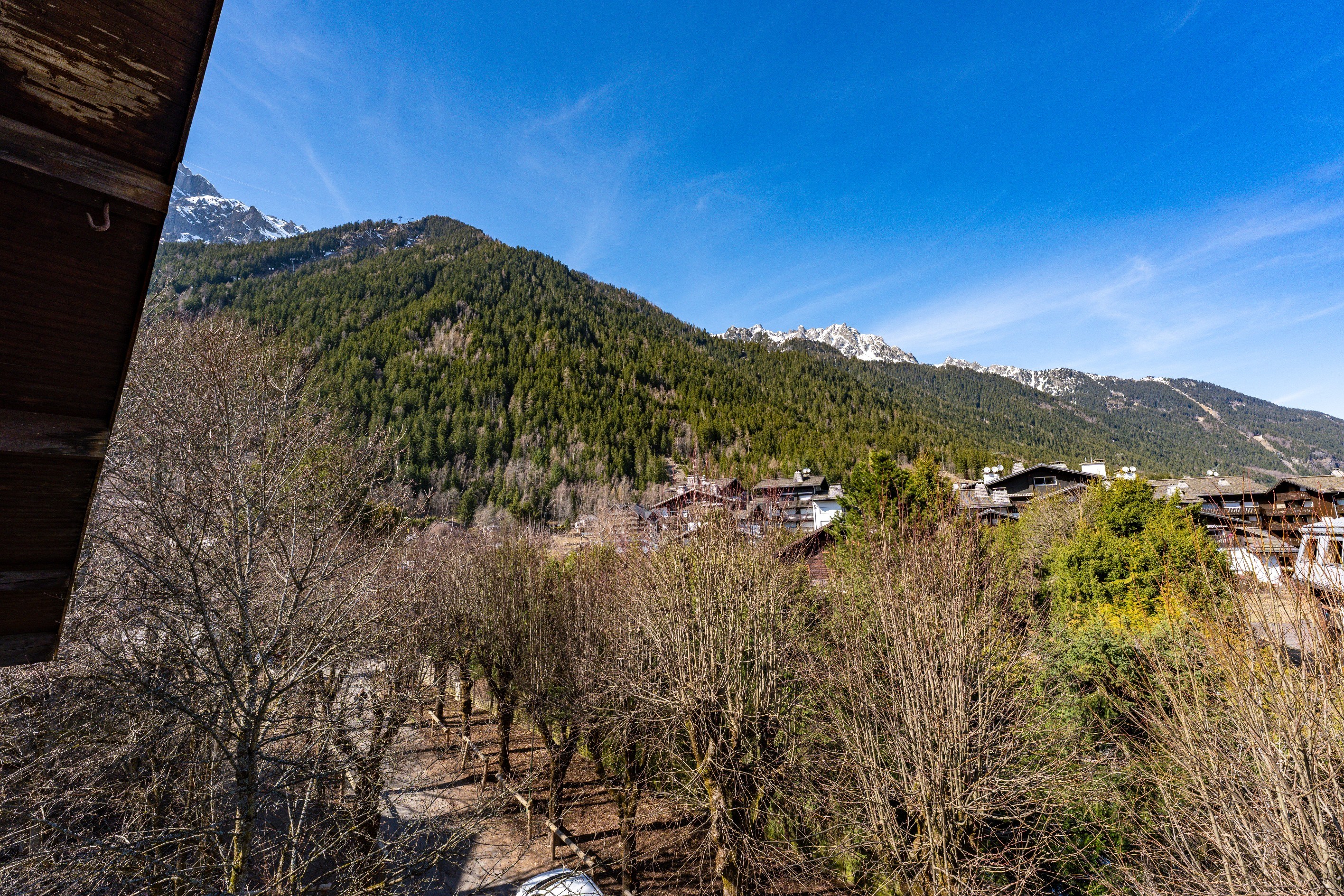  EXCLUSIVITY – APARTMENT CEDAR - 物件實景