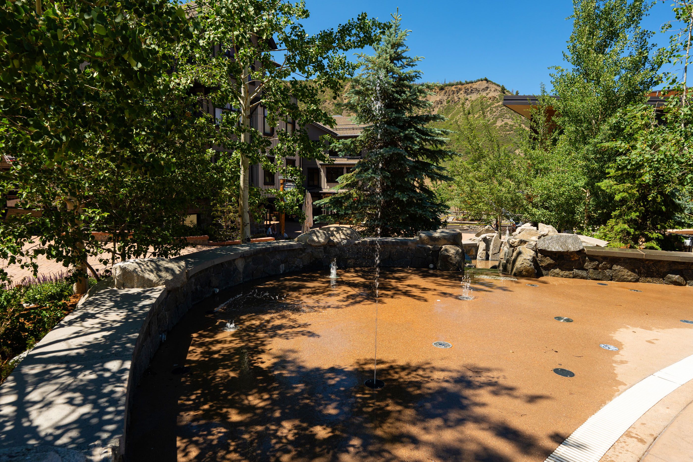  110 Carriage Way, Snowmass Village, CO, 81615 - 物件實景