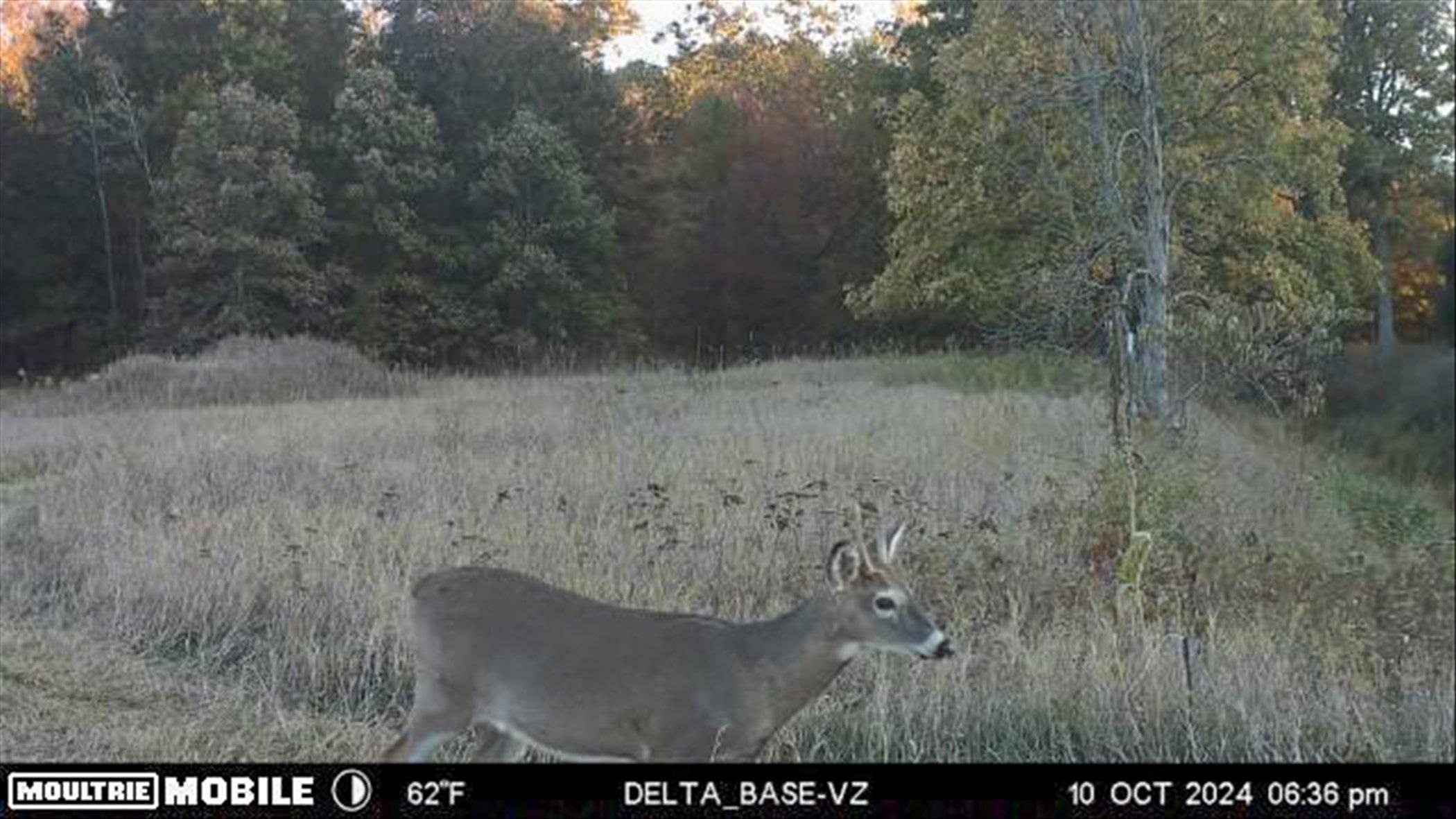 Midland, Michigan, 48640, United States, 3 Bedrooms Bedrooms, ,3 BathroomsBathrooms,Residential,For Sale,1975279